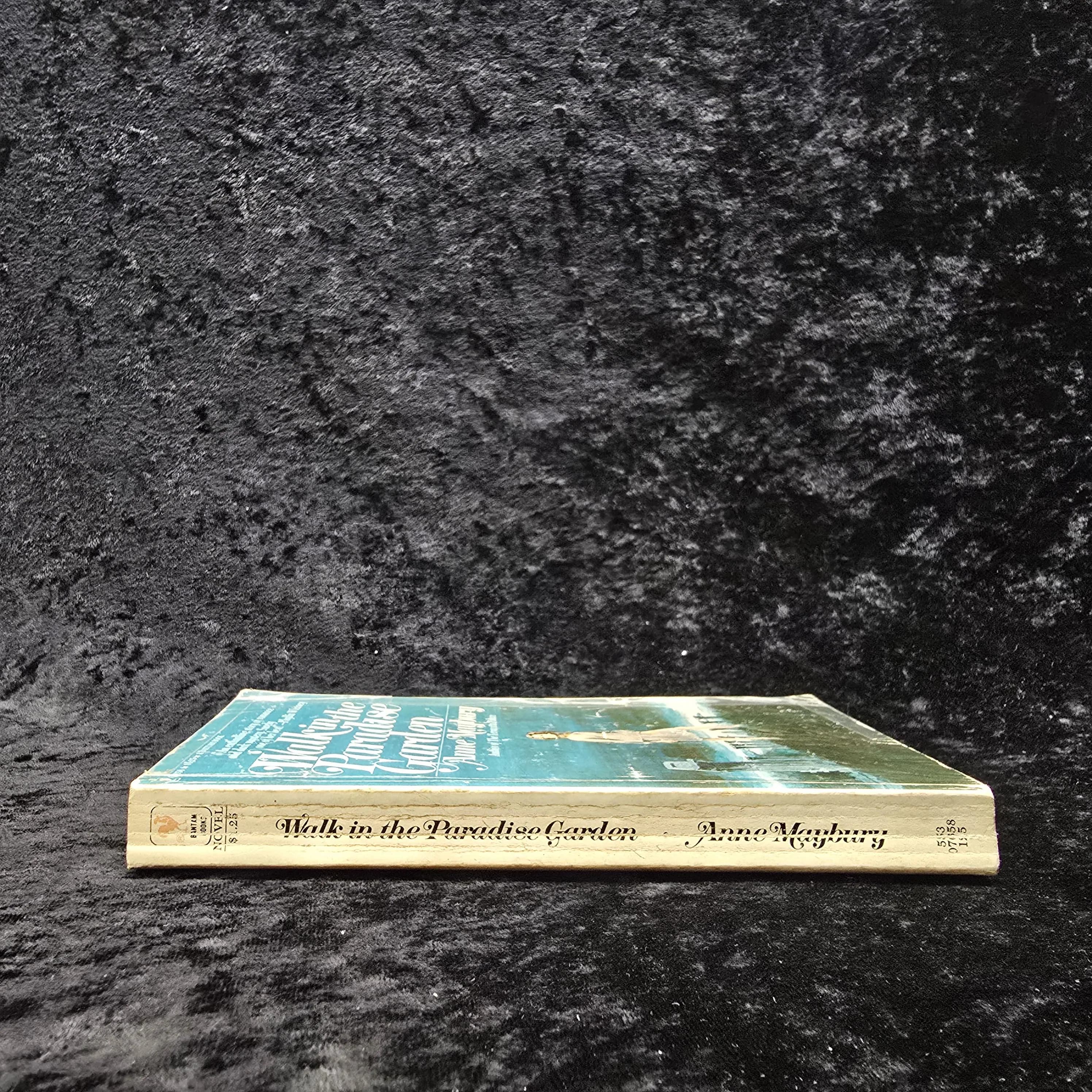 Walk in the Paradise Garden by Anne Maybury - 1973 Vintage Gothic romance paperback book - image 4