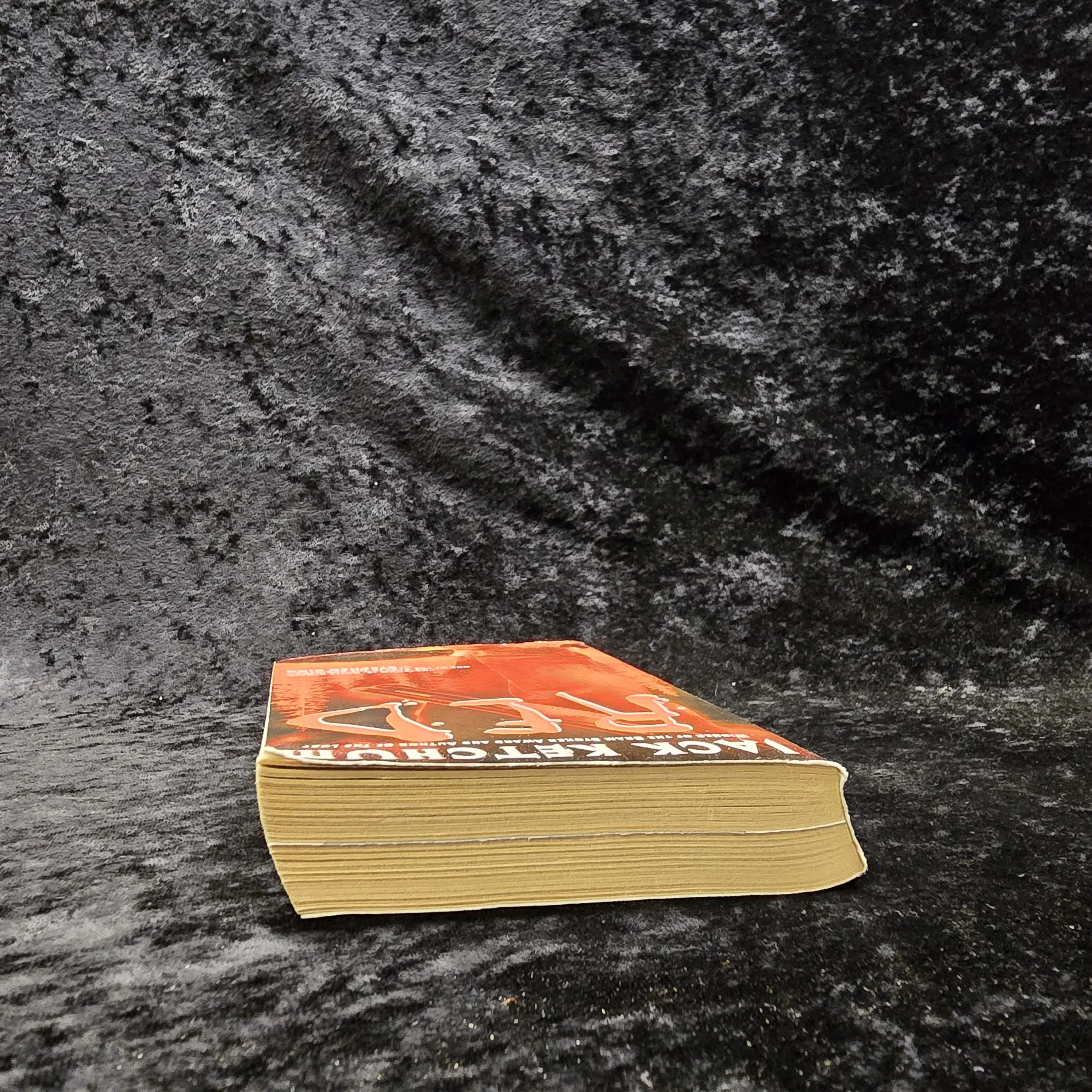 Red by Jack Ketchum - 2002 Vintage horror paperback book - image 5