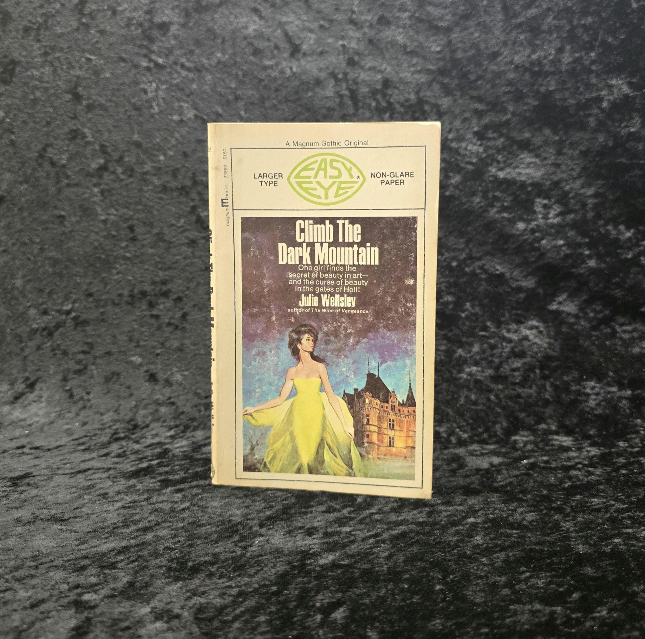 Climb The Dark Mountain by Julie Wellsley - 1970 Vintage Gothic romance paperback book - Easy Eye large type copy