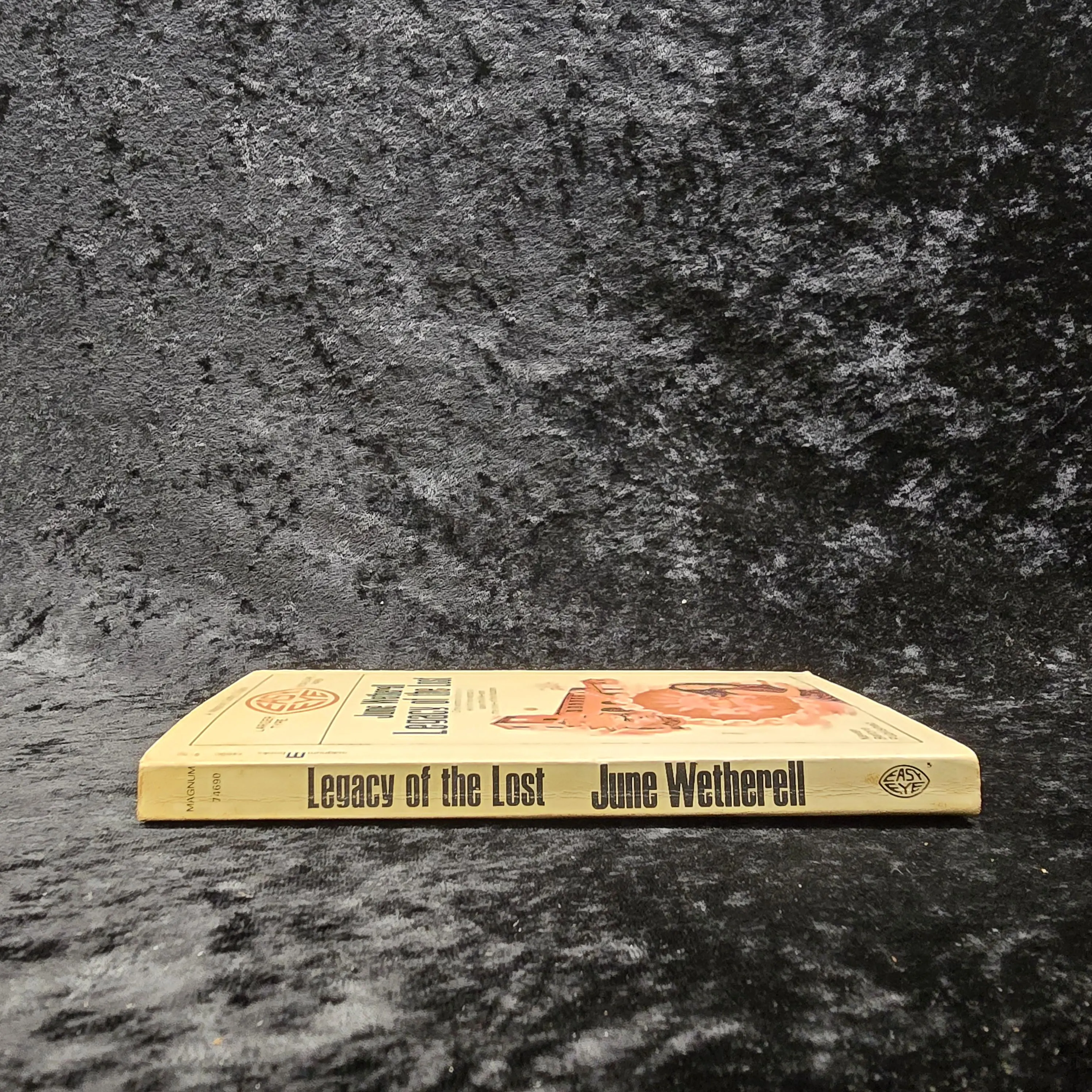 Legacy of the Lost by June Wetherell - 1970 Vintage Gothic romance paperback book - image 4
