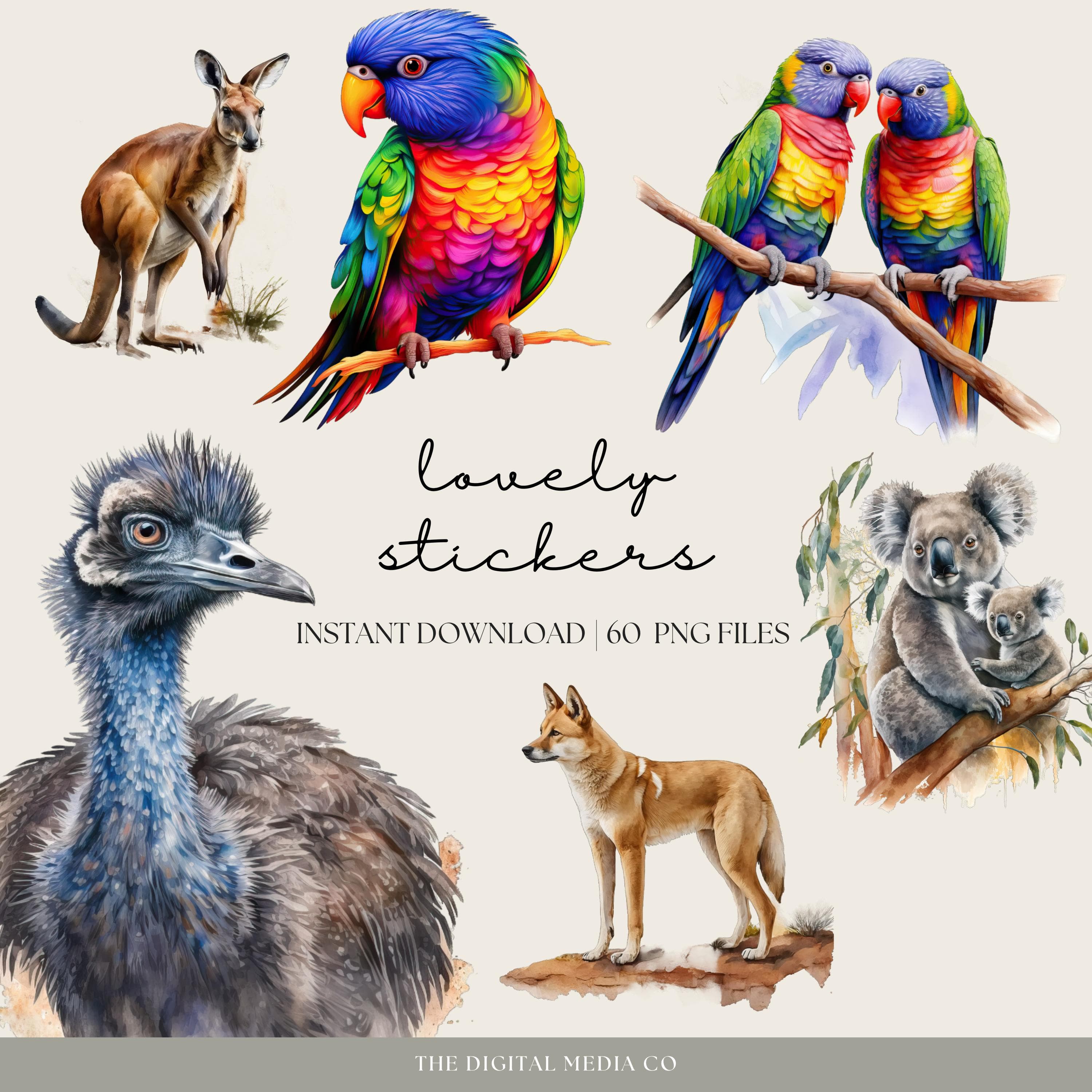 Australian Animal Digital Planner Stickers | Digital Sticker Book | Planner Stickers | Aussie Stickers | Goodnotes Tool | OZ Png Stickers - image 4