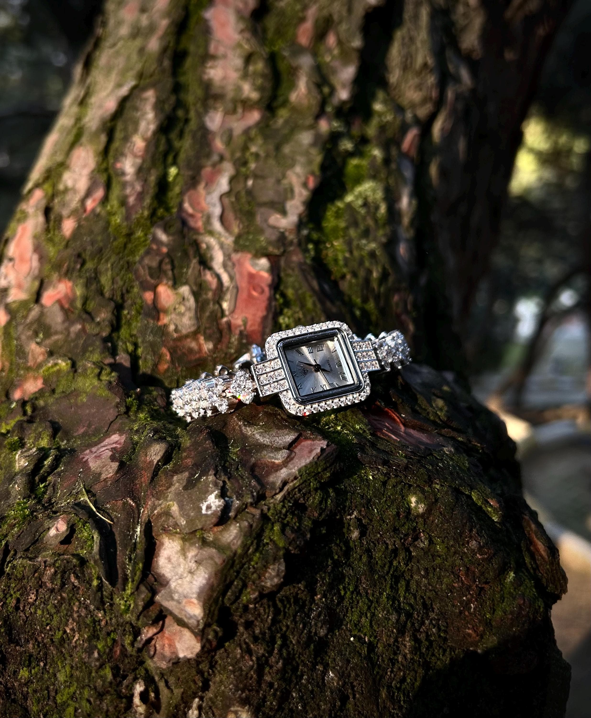 A luxury women's square watch in rhodium plated 925 silver, set with sparkling zircon stones and presented with a Phoenix necklace gift on a nature, elegant backdrop.