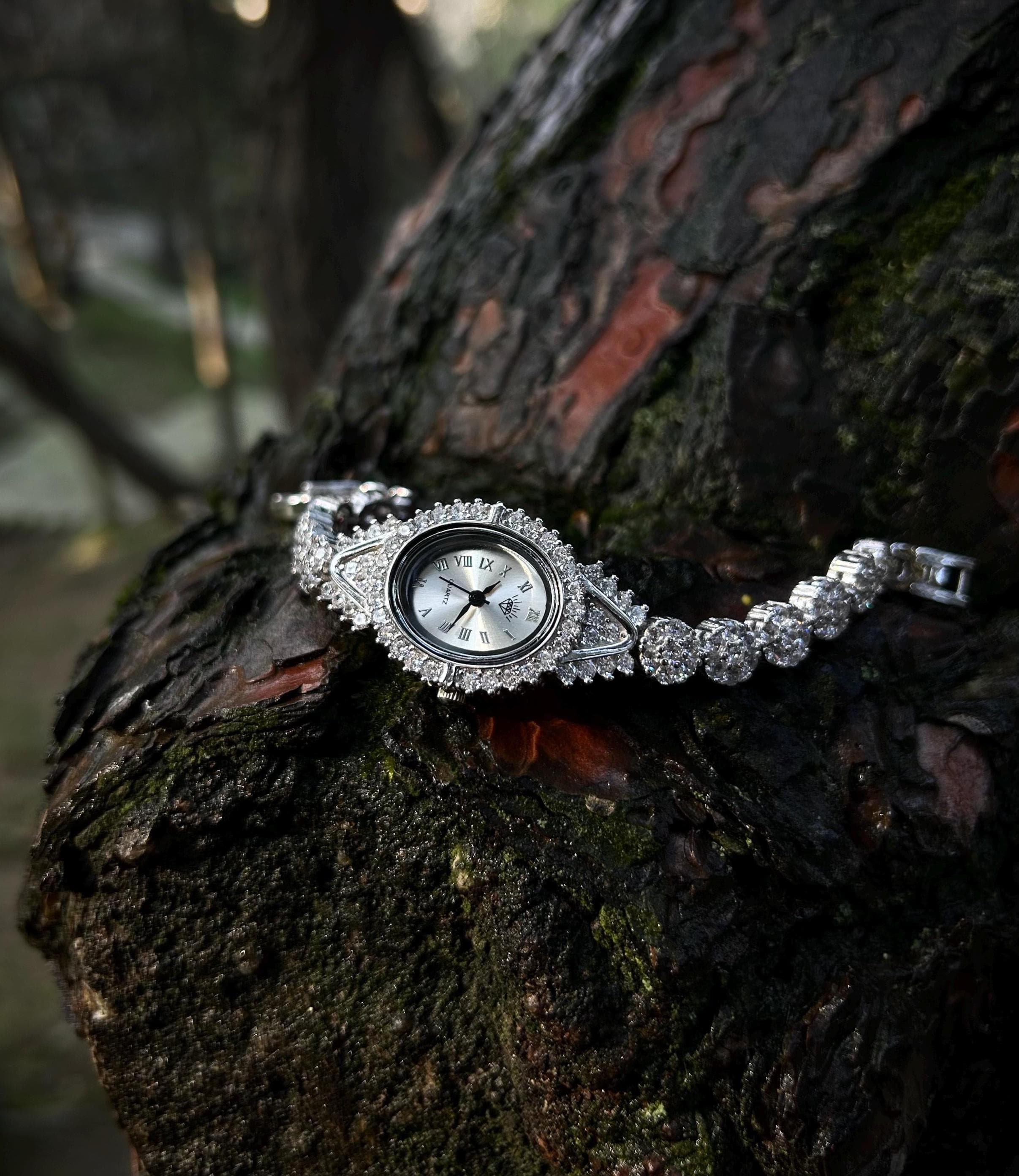 Luxury 925 silver women's watch photographed in natural light, resting on a tree surface. Handmade with zircon stones and symbolic Phoenix necklace gift options.