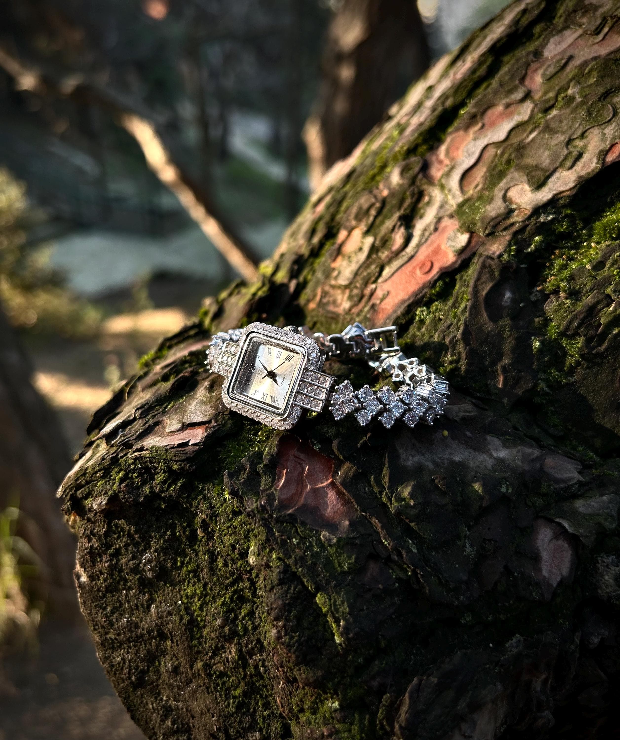 A luxury women's square watch in rhodium plated 925 silver, set with sparkling zircon stones and presented with a Phoenix necklace gift on a nature, elegant backdrop.