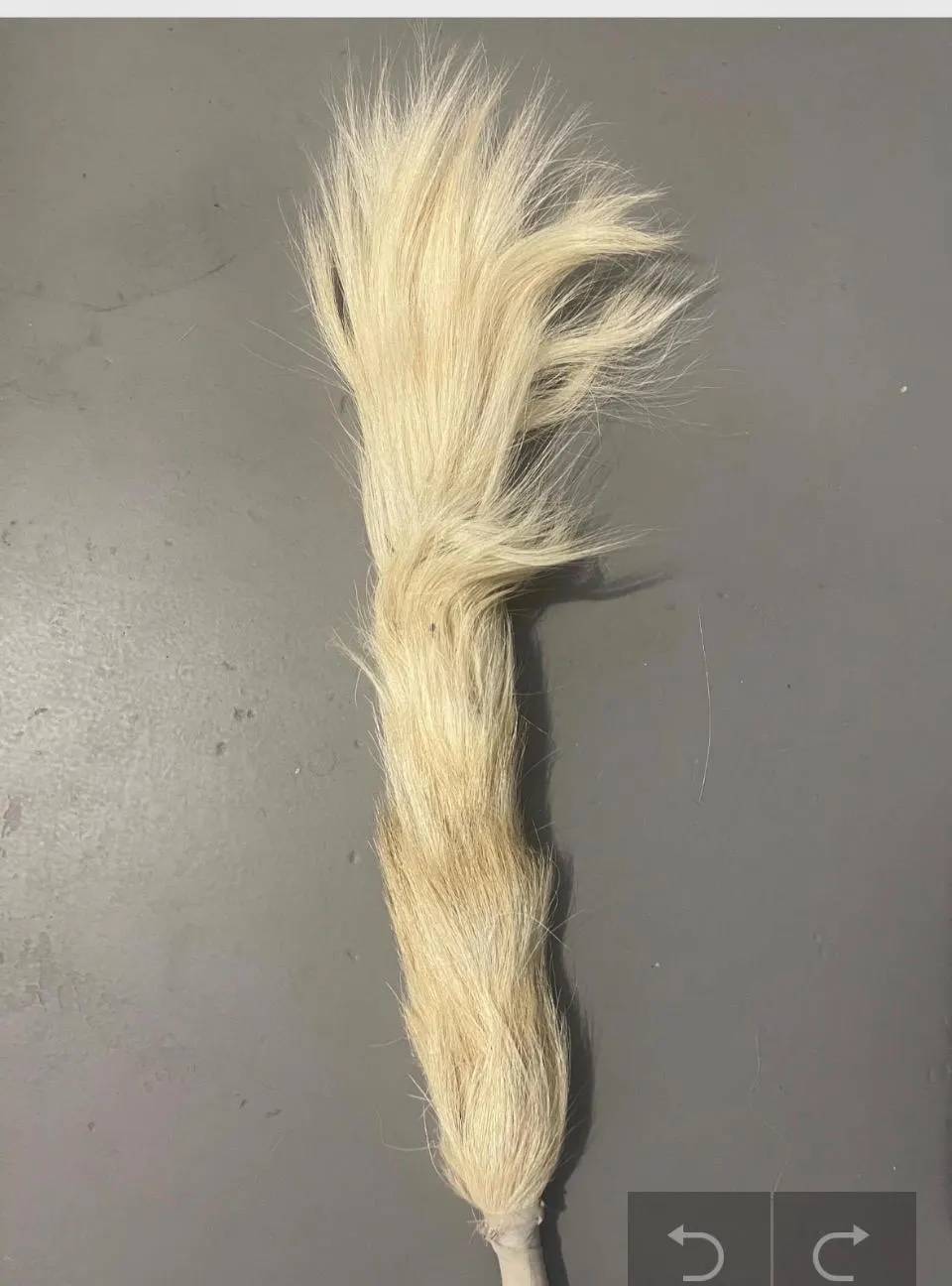 Cow  tail,African cow tail, Nigerian cow tail,cow tail for traditional dance,Bridal cow tail accessory, cow tail - image 4