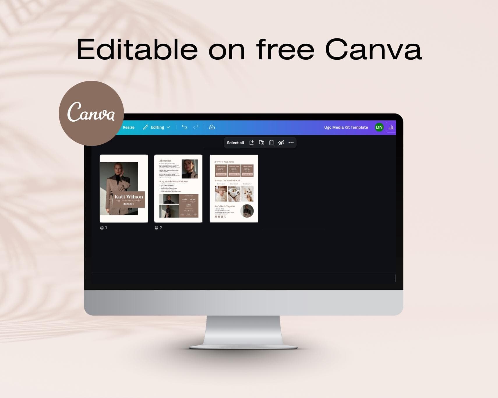 UGC Media Kit Canva Template, Influencer Portfolio, Editable Content Creator Rate Card, Digital Download - image 3