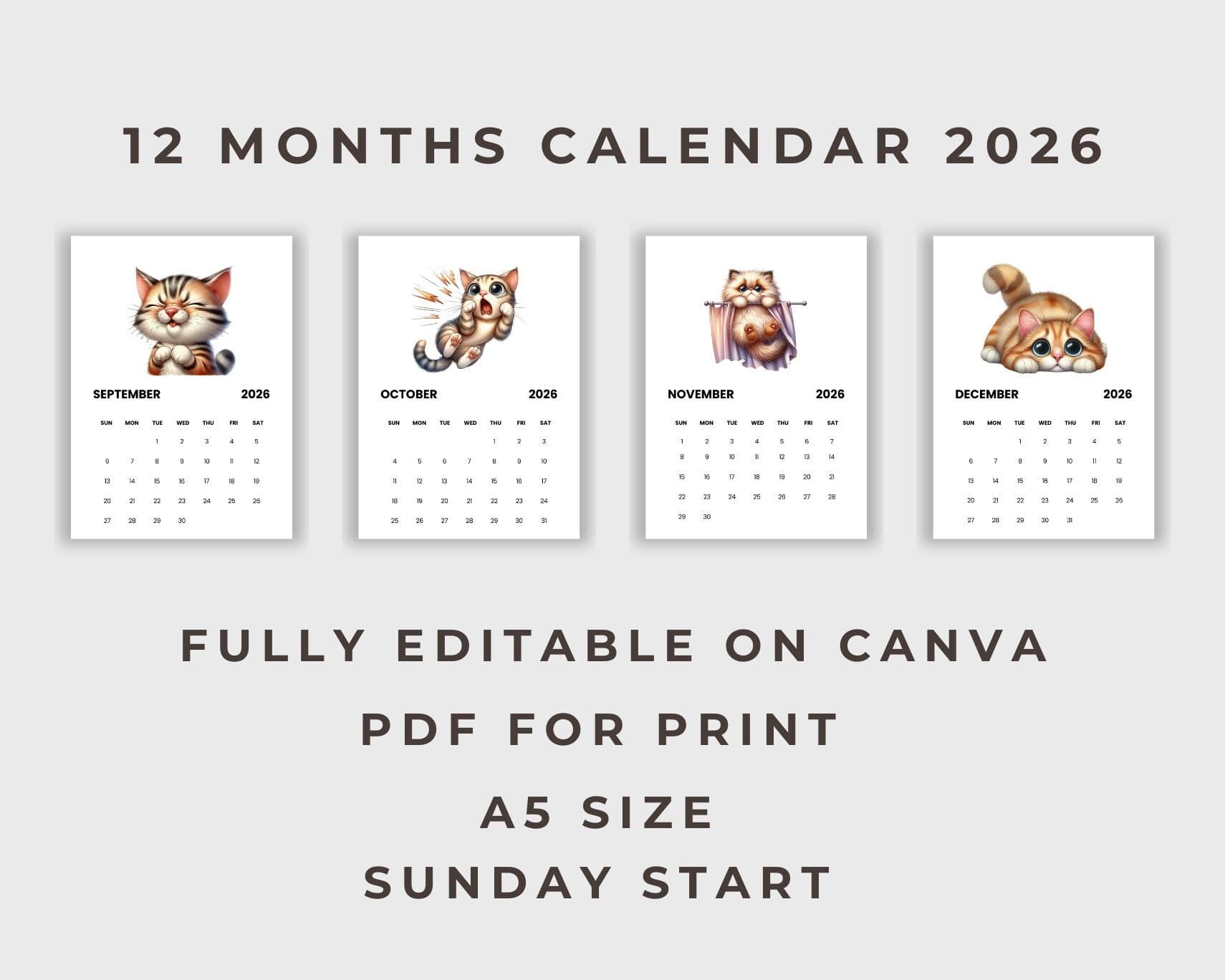 Funny Cat Calendar 2026 | A5 Printable PDF | Sunday Start  | Digital Download | Canva Template - image 4