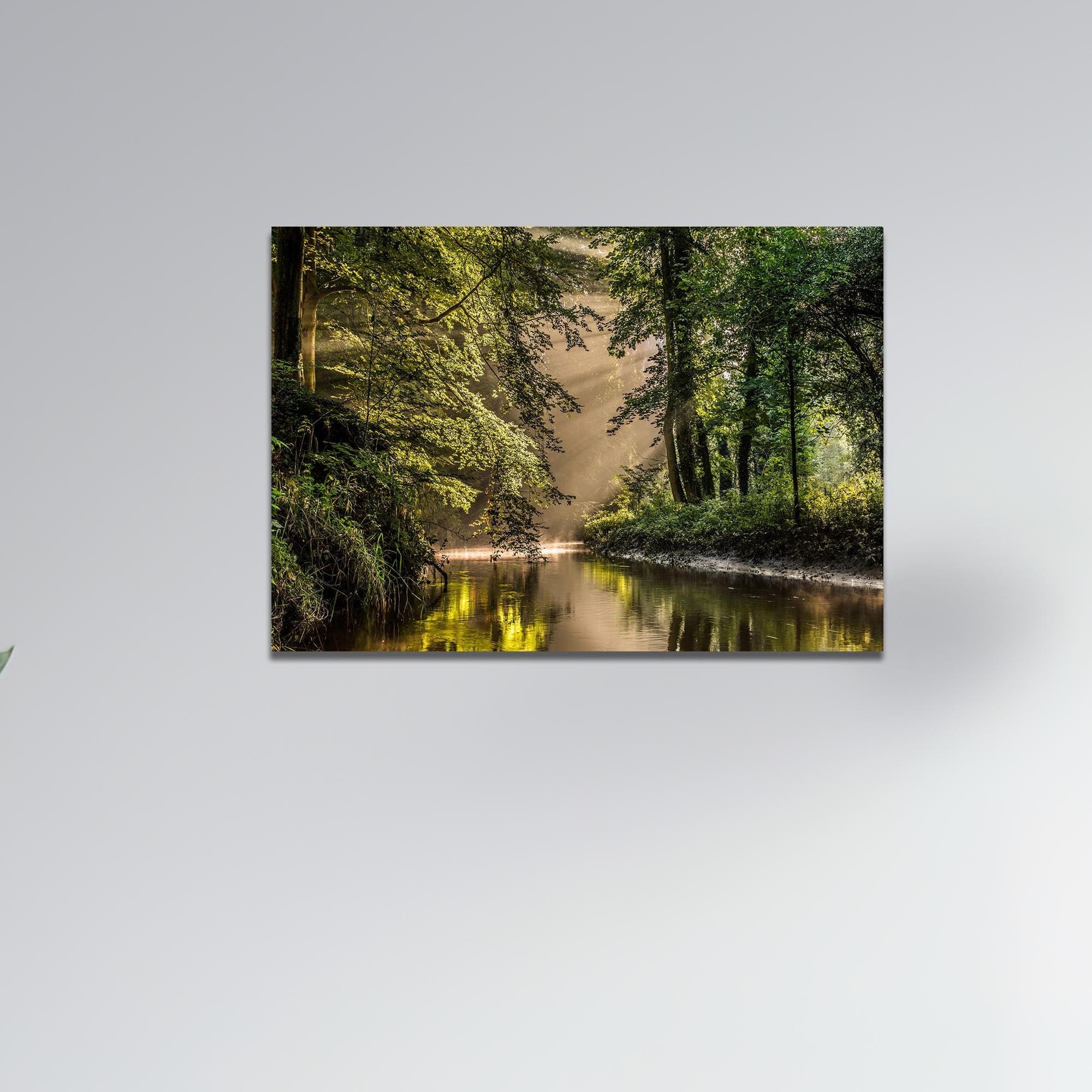 River Forest Canvas Print: Tempered Glass Wall Art - image 3