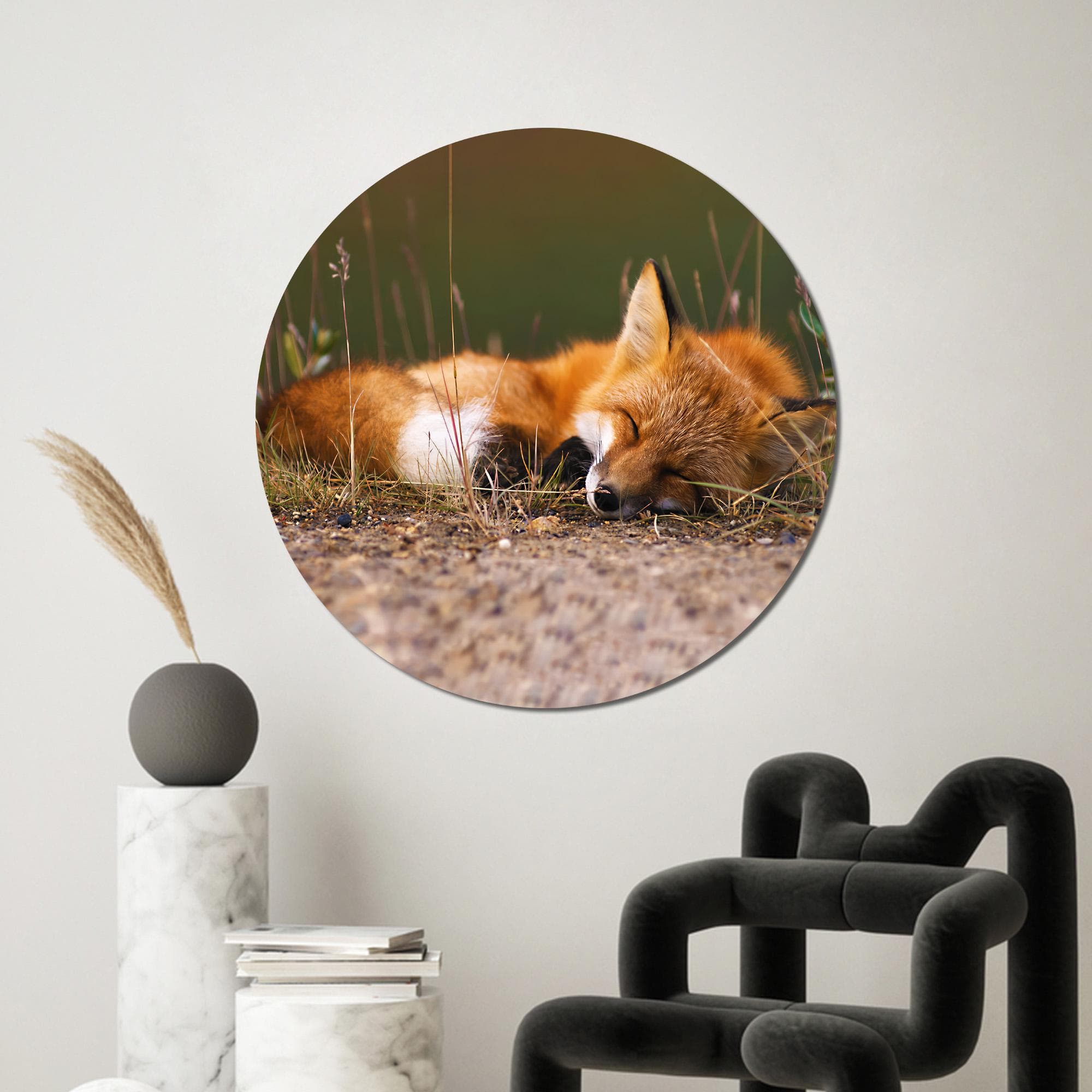 Cute Fox Glass Wall, Animal Wall Art, Sleeping Fox Glass Printing, Personalized Gift, Fox Art Decor, Kitchen Decor, Kids Room Wall Decor, - image 5