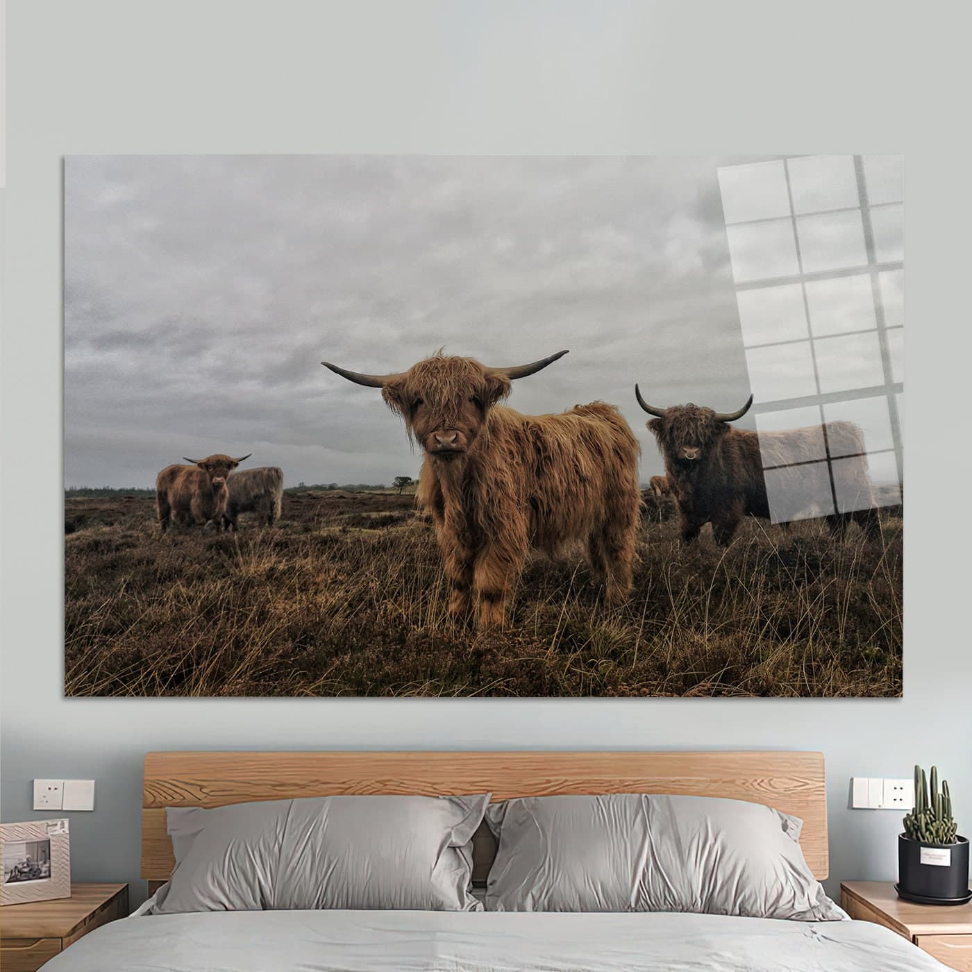Highland Cow Canvas Wall Art: Wild Bull Glass Print - image 3