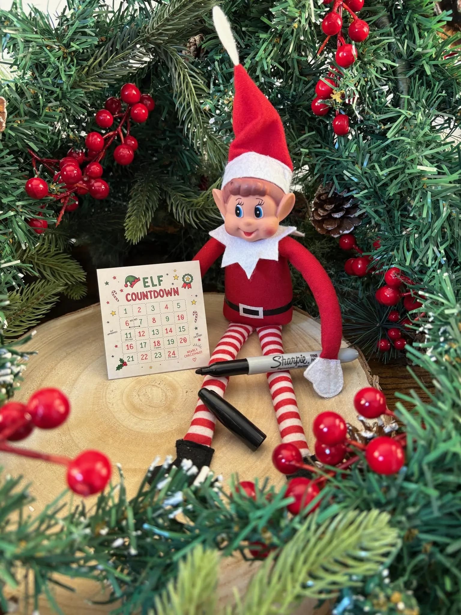 Official Elf Countdown Calendar - Christmas Elf - Elf On The - Elf Extras - Christmas Magic - December - Children's Magic - Xmas Activity - image 3