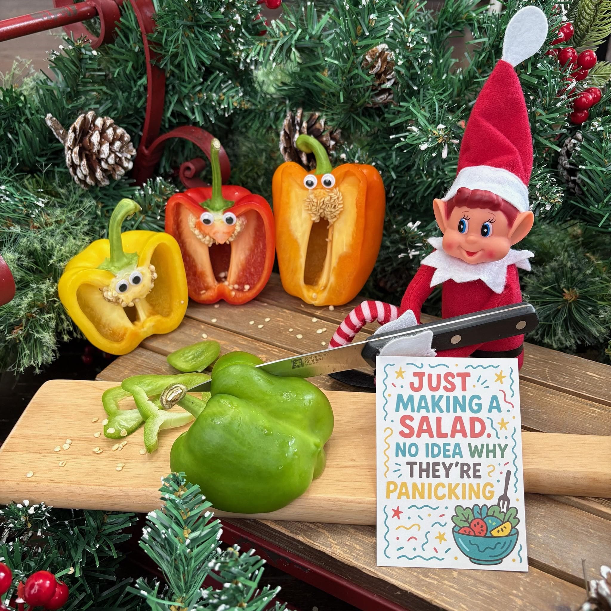 Everyday Elf Idea Pack - Christmas Elf - Elf On The - Elf Extras - 24 Different Ideas with Prop Cards - Christmas Magic - Newest Edition - image 3