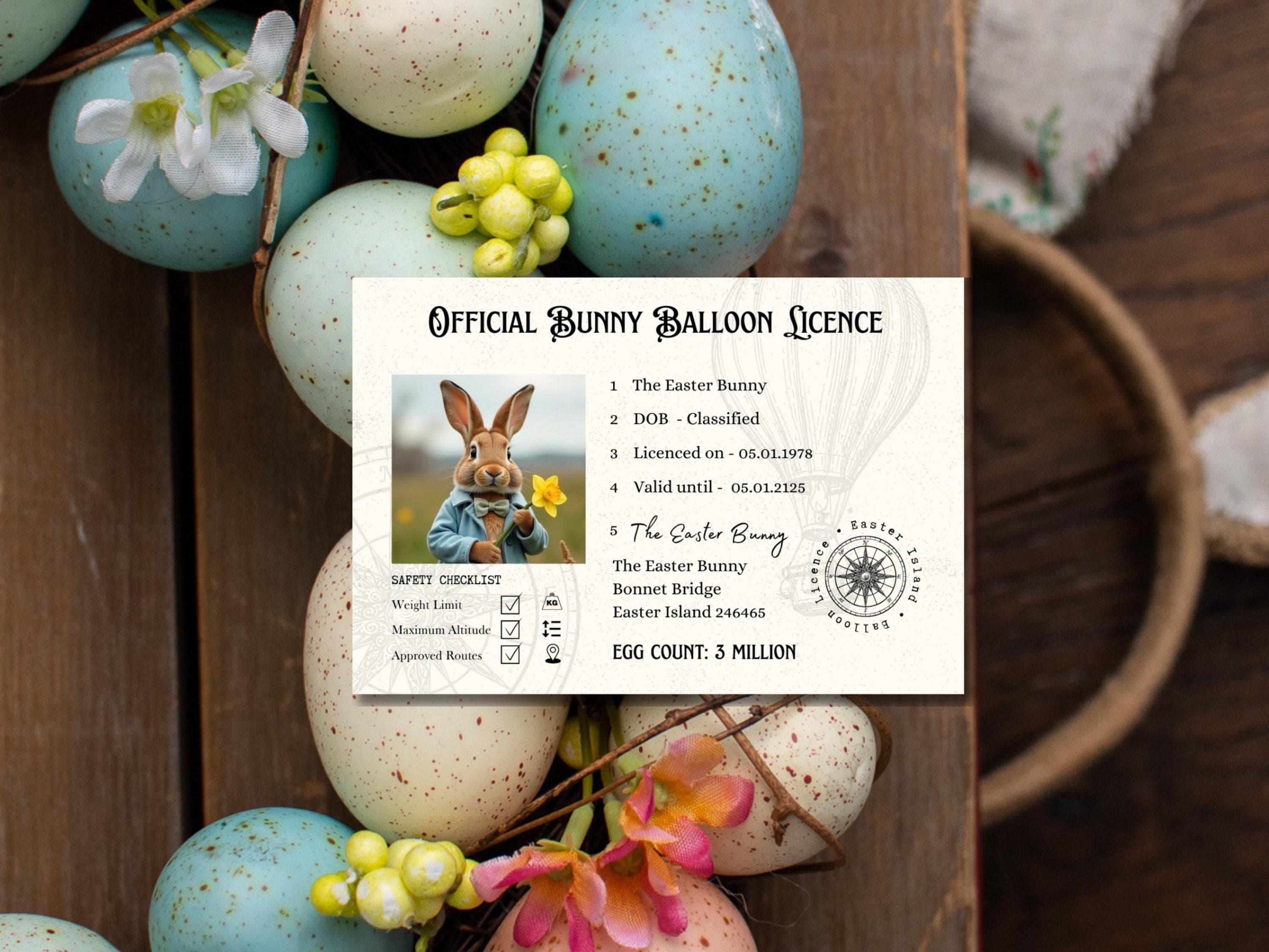 The Easter Bunny's Hot Air Balloon Licence - Children's Magic - Make Believe - Keep The Dream Alive - Easter Bunny Dropped His ... Paper
