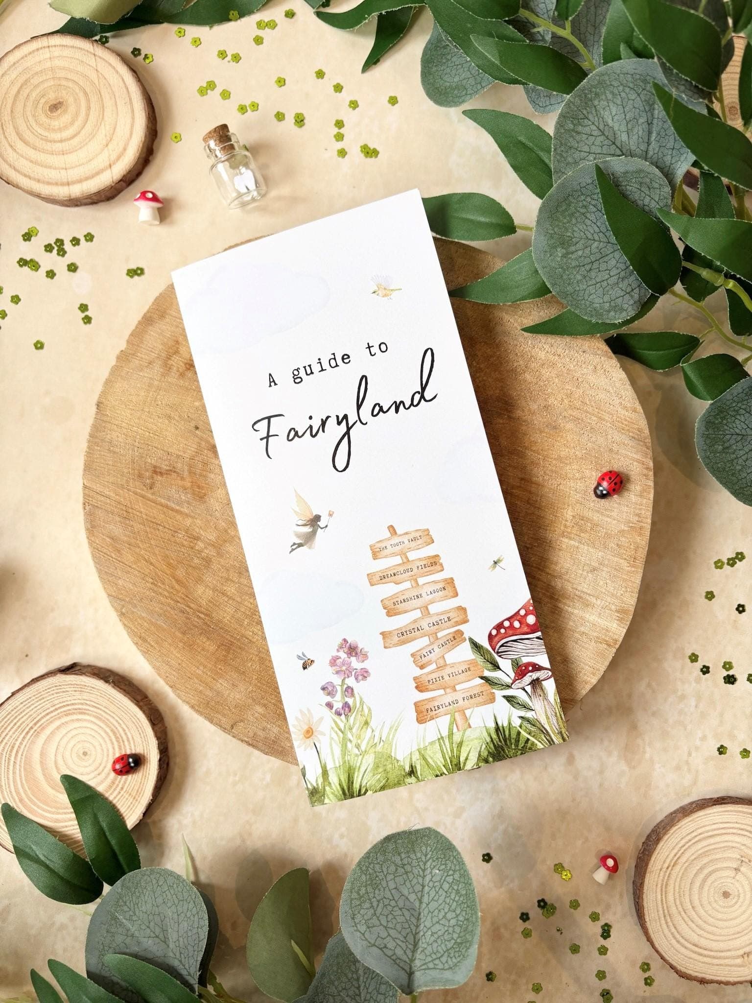 A guide to Fairyland - Magical Information about the world in which the Tooth Fairy lives - Lovely addition when a child has lost a tooth!
