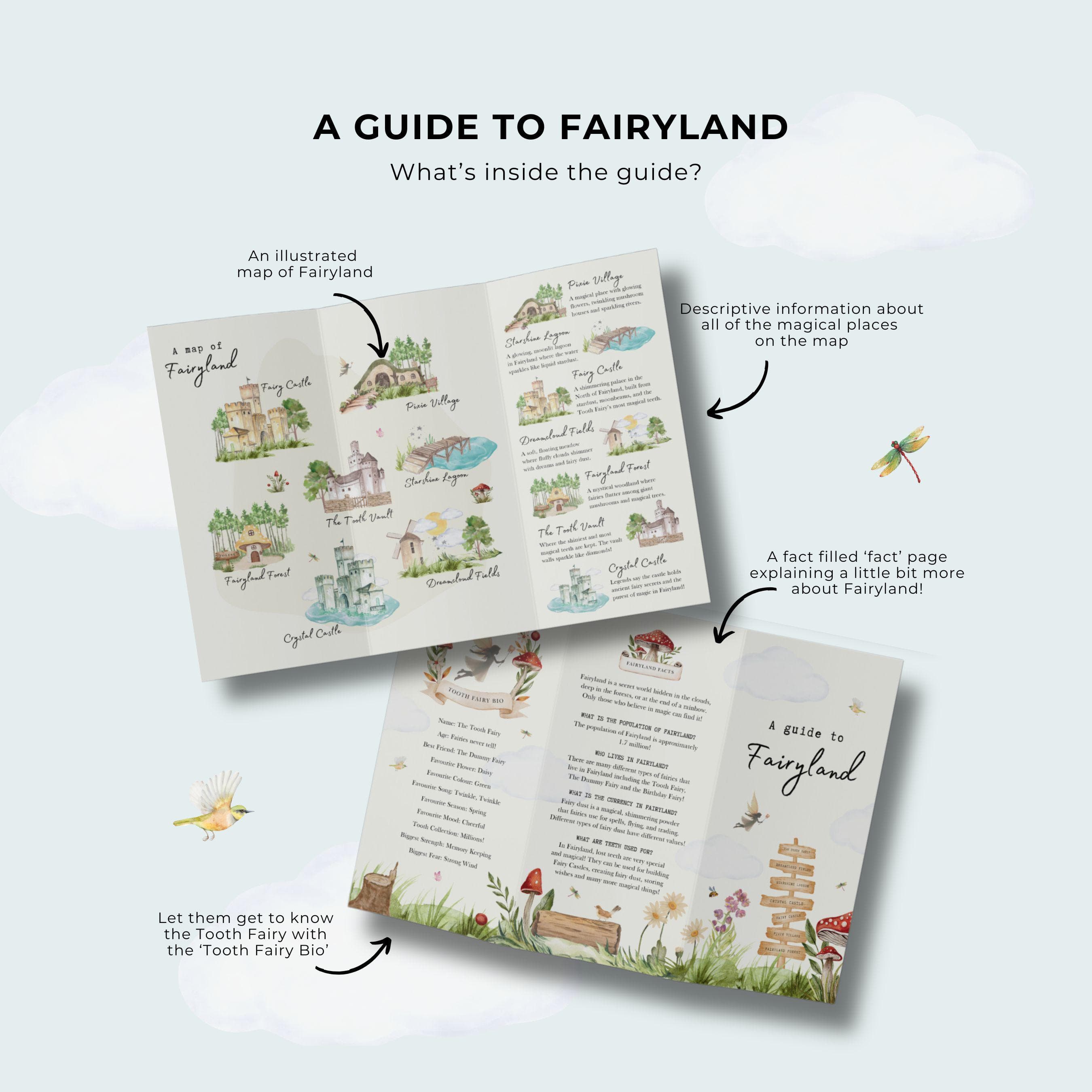 A guide to Fairyland - Magical Information about the world in which the Tooth Fairy lives - Lovely addition when a child has lost a tooth! - image 5