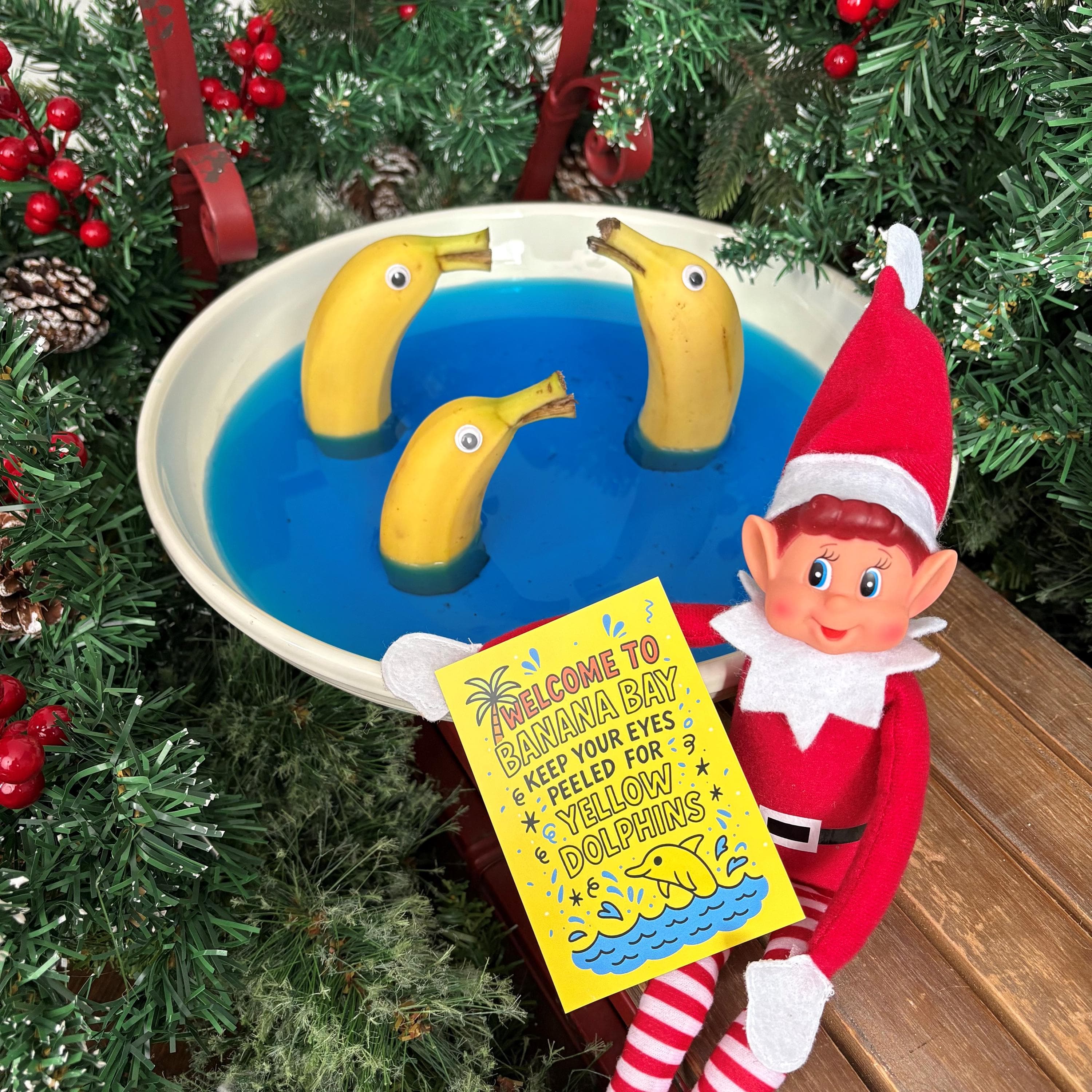 Everyday Elf Idea Pack - Christmas Elf - Elf On The - Elf Extras - 24 Different Ideas with Prop Cards - Christmas Magic - Newest Edition