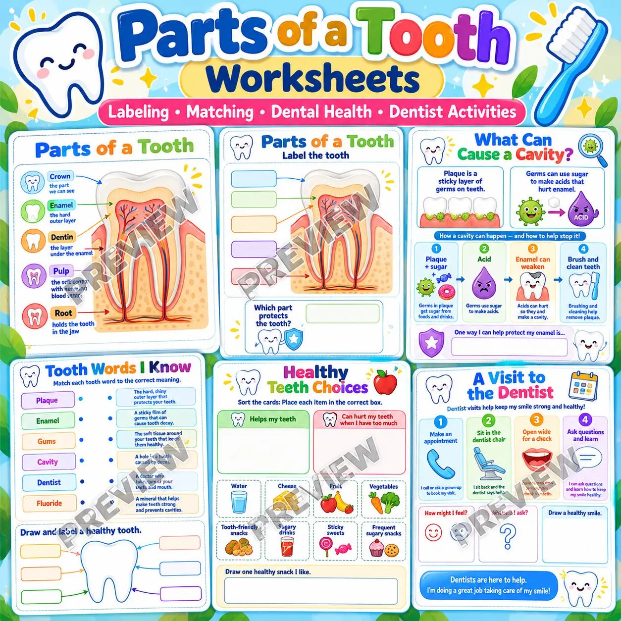Parts of a Tooth Worksheets, Dental Health, Enamel, Cavities, Germs Activities, Teeth Kids Poster, Tooth Part Dental Chart(Digital Download) - image 4