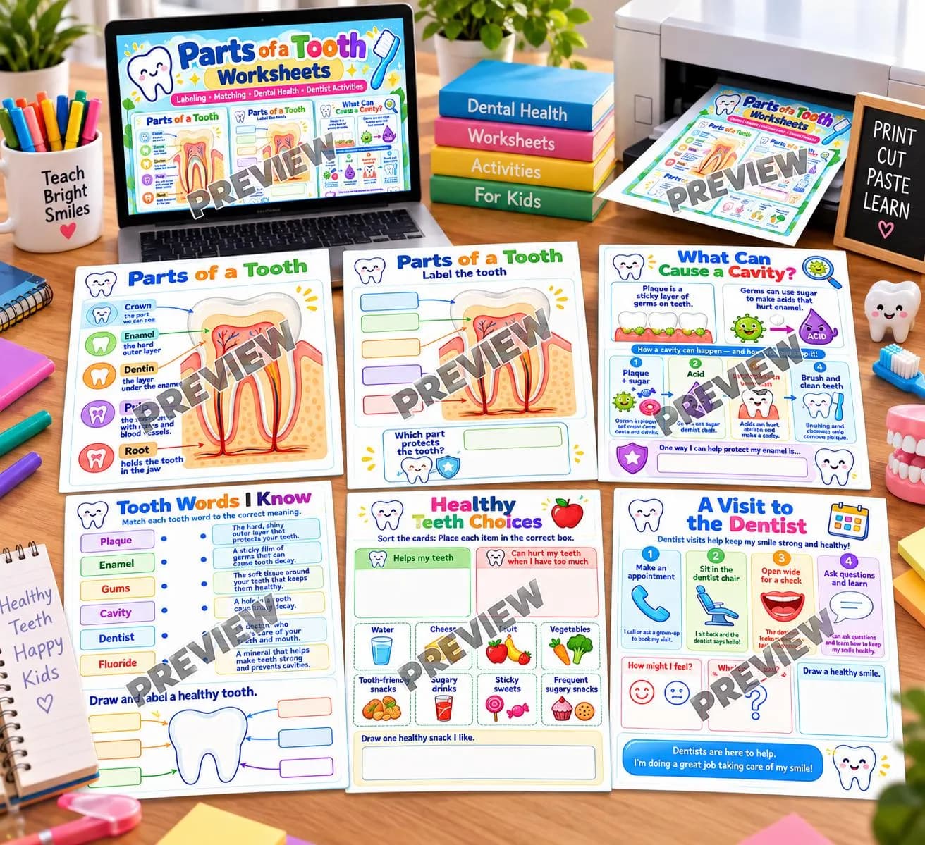 Parts of a Tooth Worksheets, Dental Health, Enamel, Cavities, Germs Activities, Teeth Kids Poster, Tooth Part Dental Chart(Digital Download)