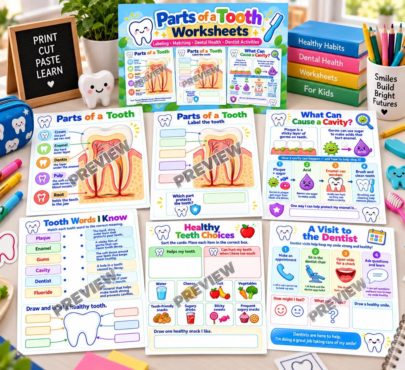 Parts of a Tooth Worksheets, Dental Health, Enamel, Cavities, Germs Activities, Teeth Kids Poster, Tooth Part Dental Chart(Digital Download) - image 3