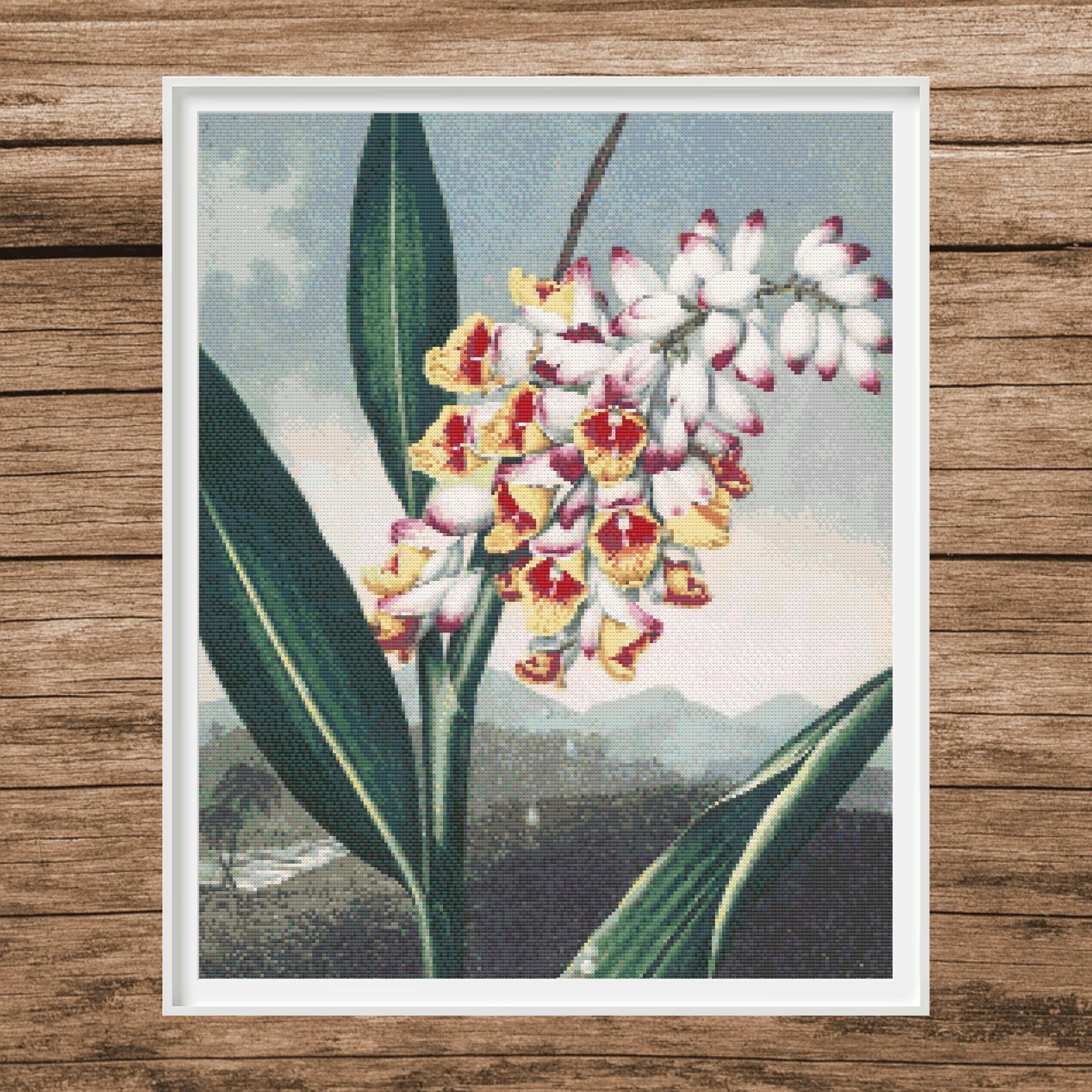 Nodding Renealmia Cross Stitch Pattern | Botanical Floral (PDF)