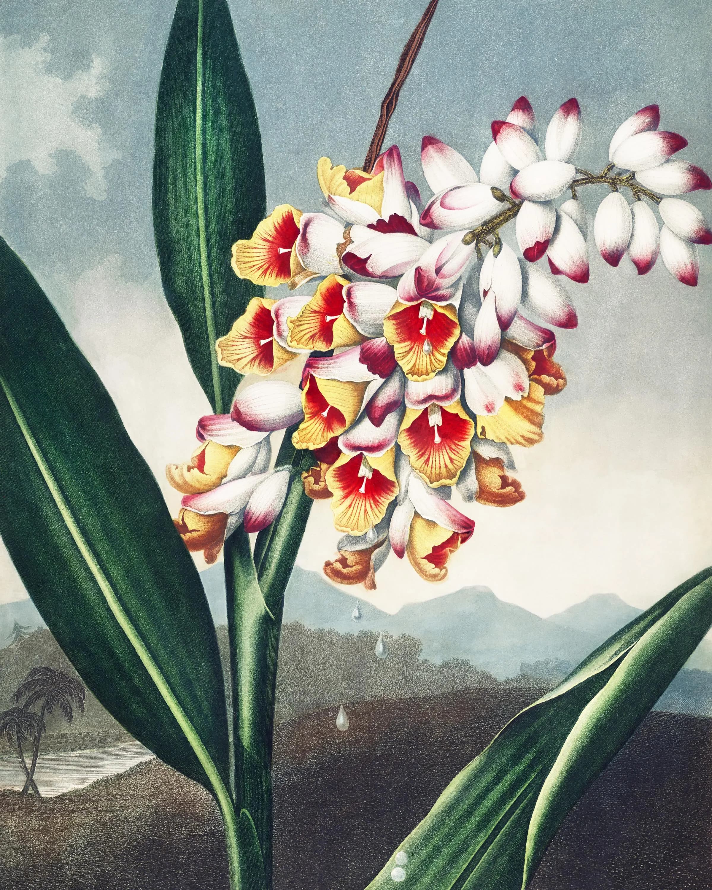 Nodding Renealmia Cross Stitch Pattern | Botanical Floral (PDF) - image 4