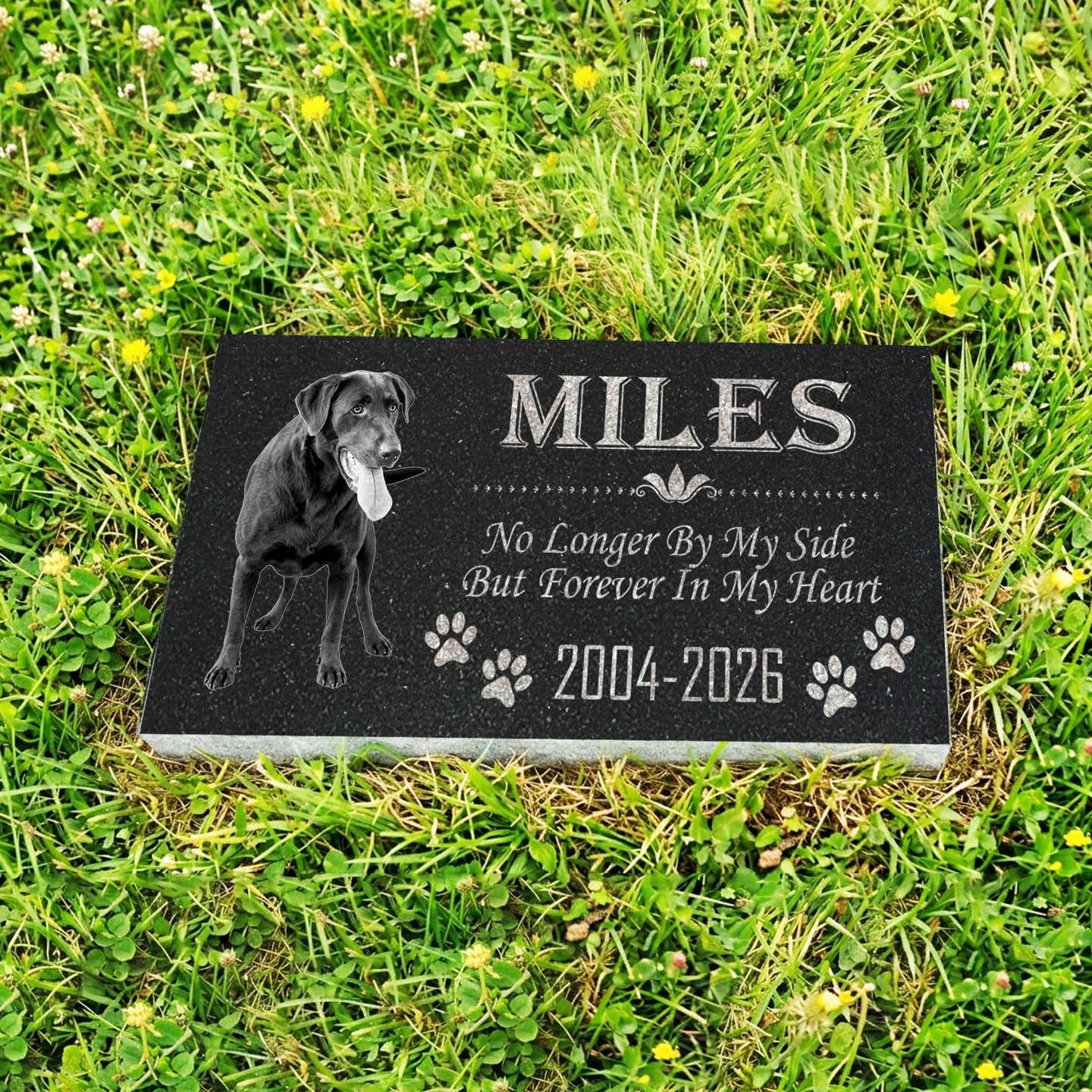 Custom Pet Memorial Stone: Black Galaxy Granite, Engraved Photo, 12x18 or 12x24 - image 3
