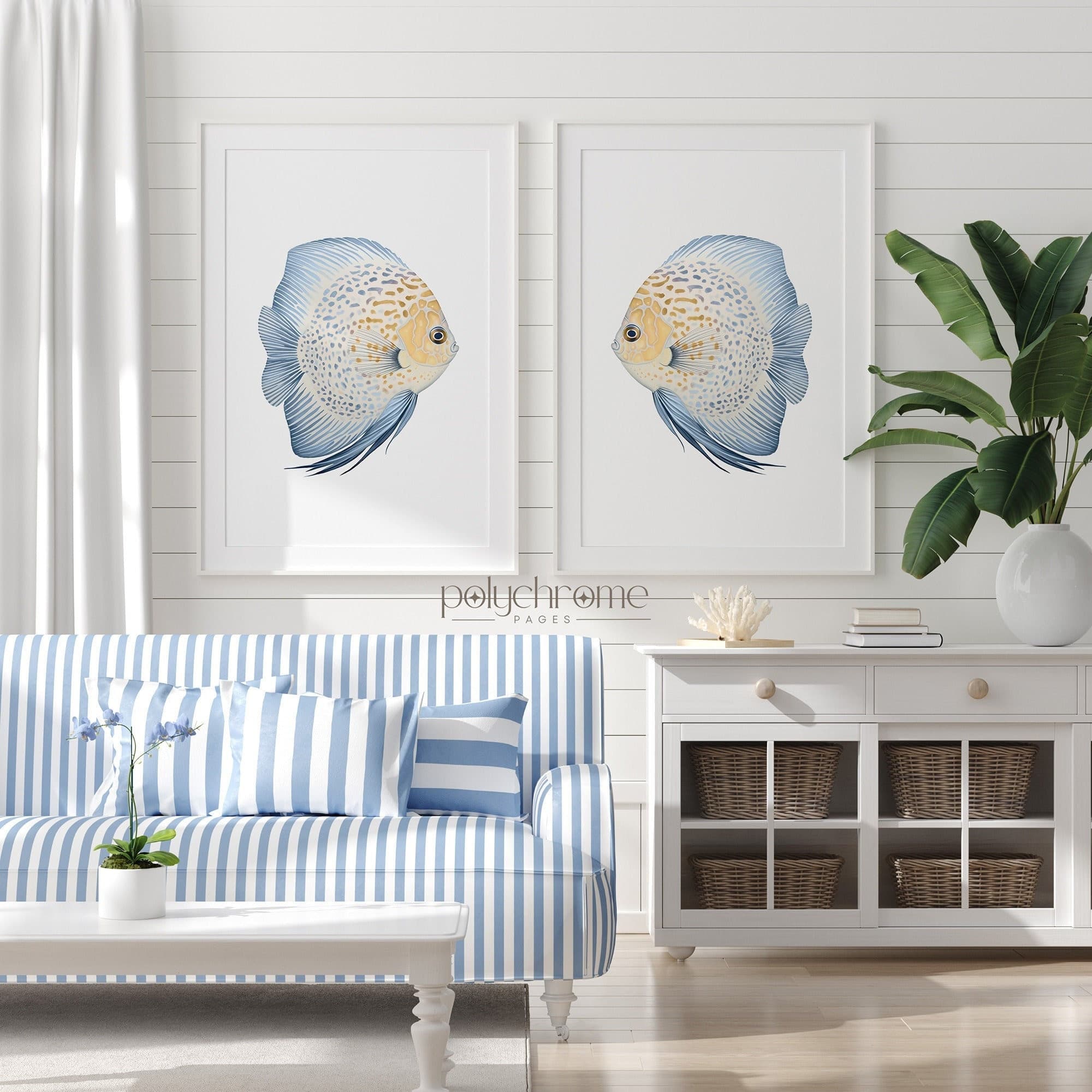 Blue and Yellow Discus Fish, Coastal Nautical Hamptons Decor, Beach Tropical Exotic Lake House Art | Paper Print Sizes 5x7 - 24x36 in