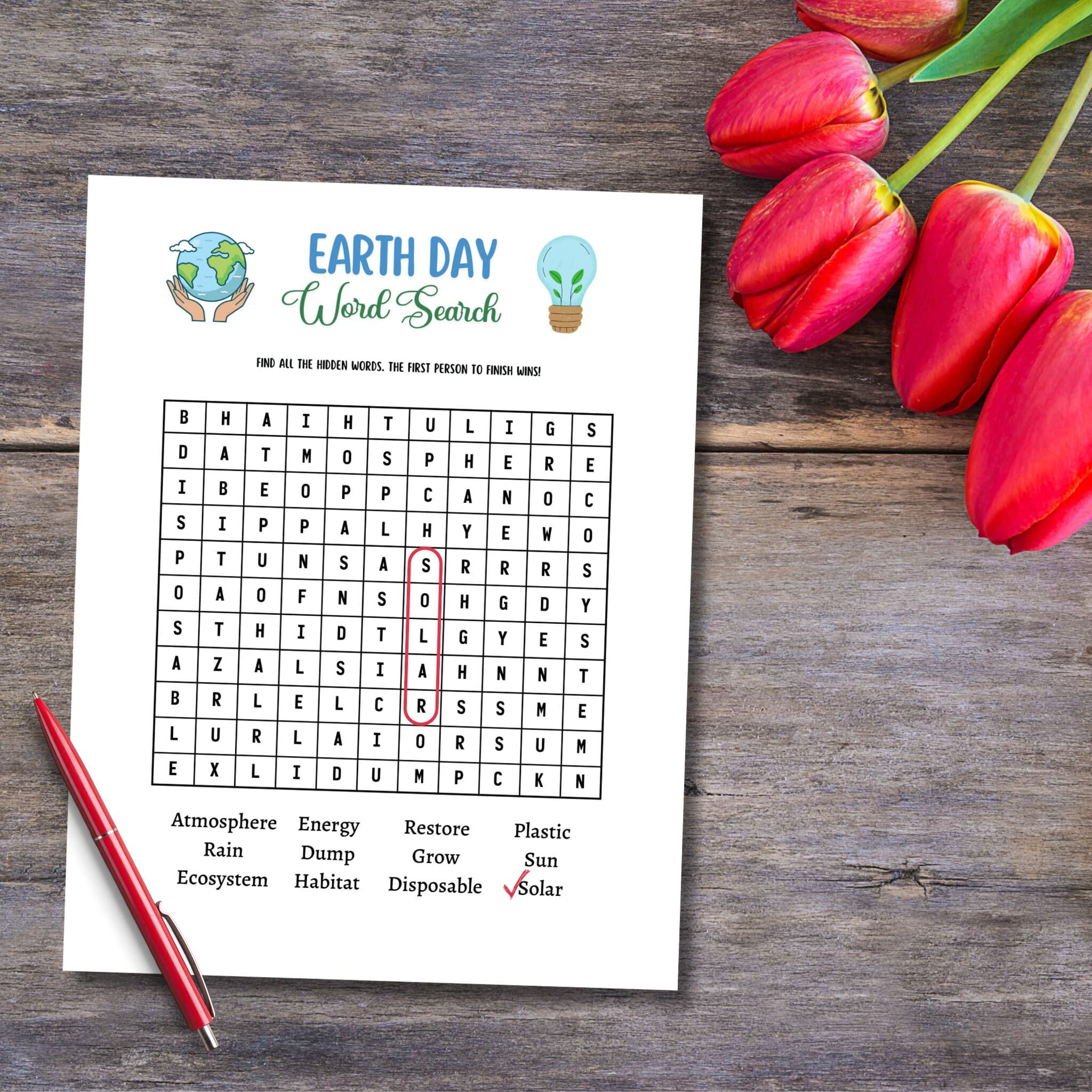 Earth Day Games Printable, Environmental Activity Word Search & Word Scramble, Party Game for Kids And Adults, Family Game, Classroom Game - image 4