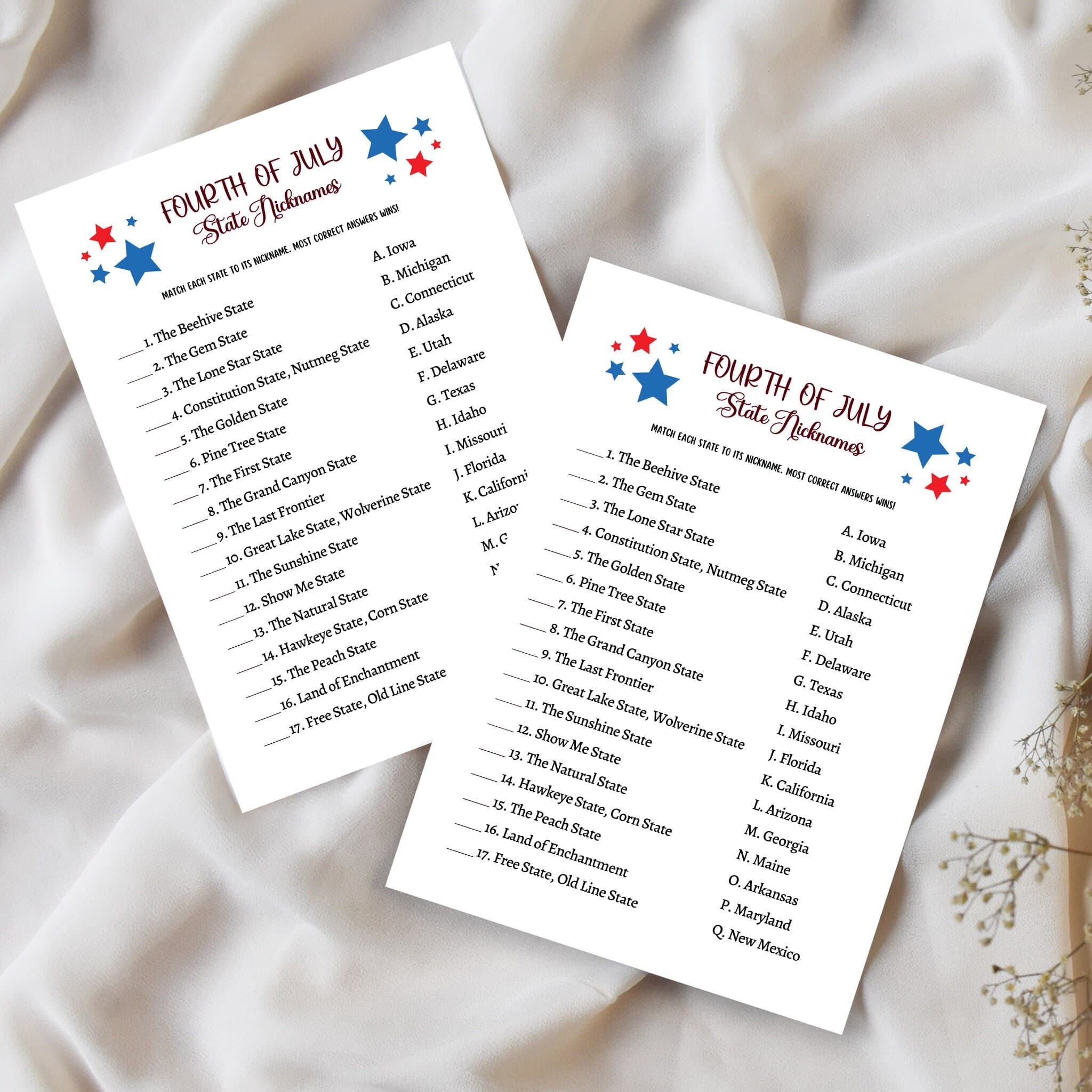 July 4th State Nicknames Game Printable, Independence Day Party Ideas, Family Activity for Adults & Kids, Fourth of July Patriotic Quiz - image 5