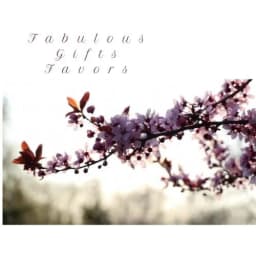 FabulousGiftsFavors