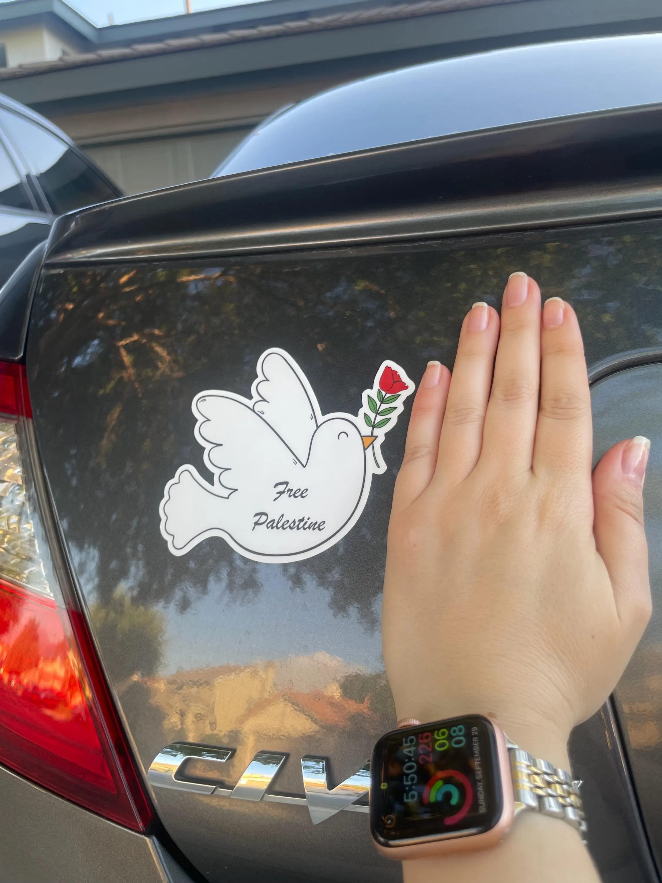 Falastini Dove Bumper Sticker, Palestine Bumper Sticker, Car Bumper Sticker, Free Palestine Bumper Sticker - image 3