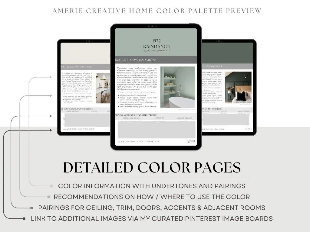 Raindance Benjamin Moore paint color palette Whole house paint color scheme 2026 raindance paint color scheme teal green blue terracotta - image 3