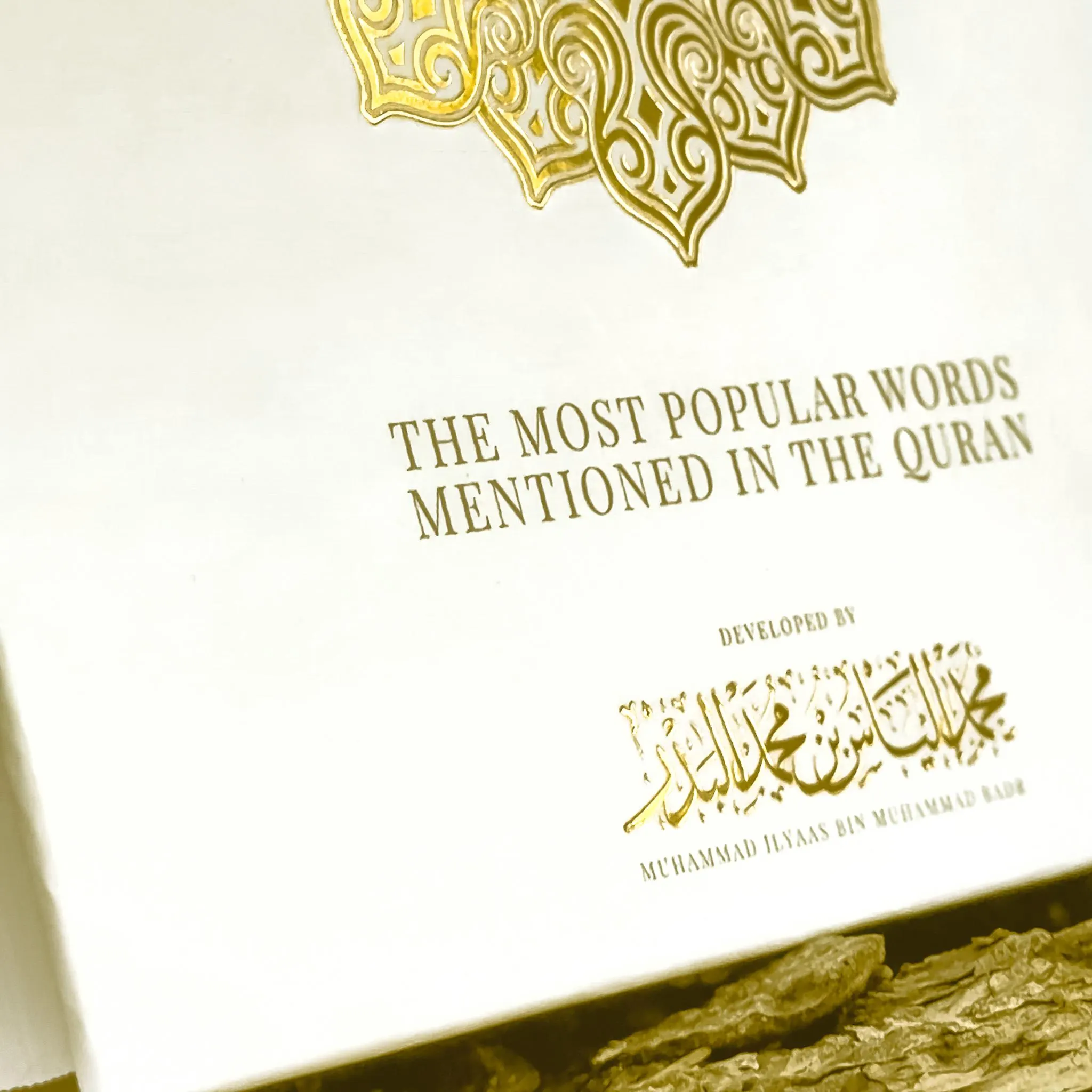 Quran Roots: Top 500 Quranic Words & Vocabulary Journal (Mastery Edition) - image 4