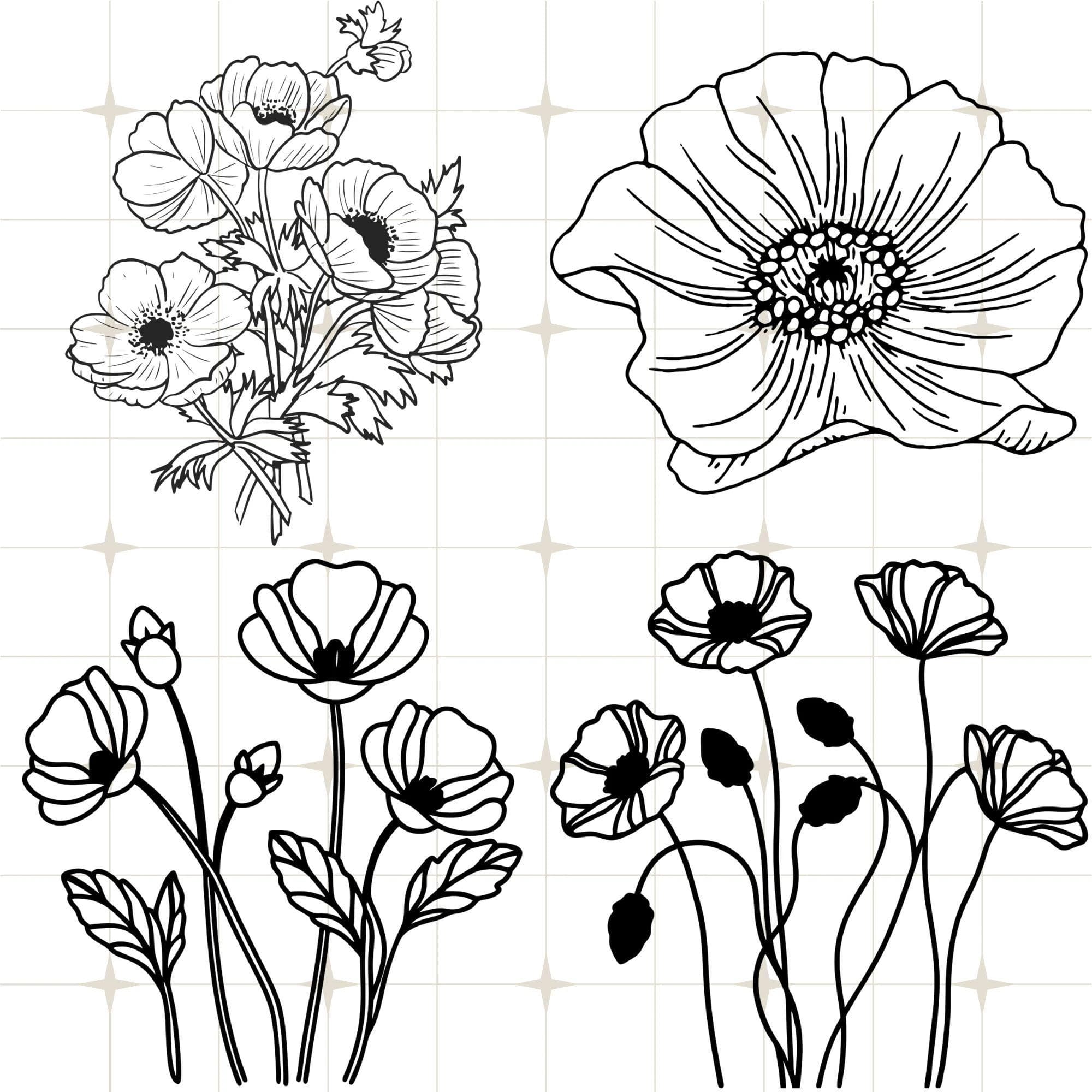 remembrance day, memorial day, line drawing, poppies, poppy, poppy line art, botanical poppy png, hand drawn poppy, poppies design, poppy design, botanical wildflower, poppy clip art, flower arrangements, wedding graphic, plants and flowers, wedding design, poppy clipart, poppy cut files, bouquet svg, poppy flower png, botanical svg, poppy svg bundle, wildflower svg, poppy cricut, floral svg, flower cricut, flower cut file, flower svg, flower clipart, poppy flower svg, poppies svg