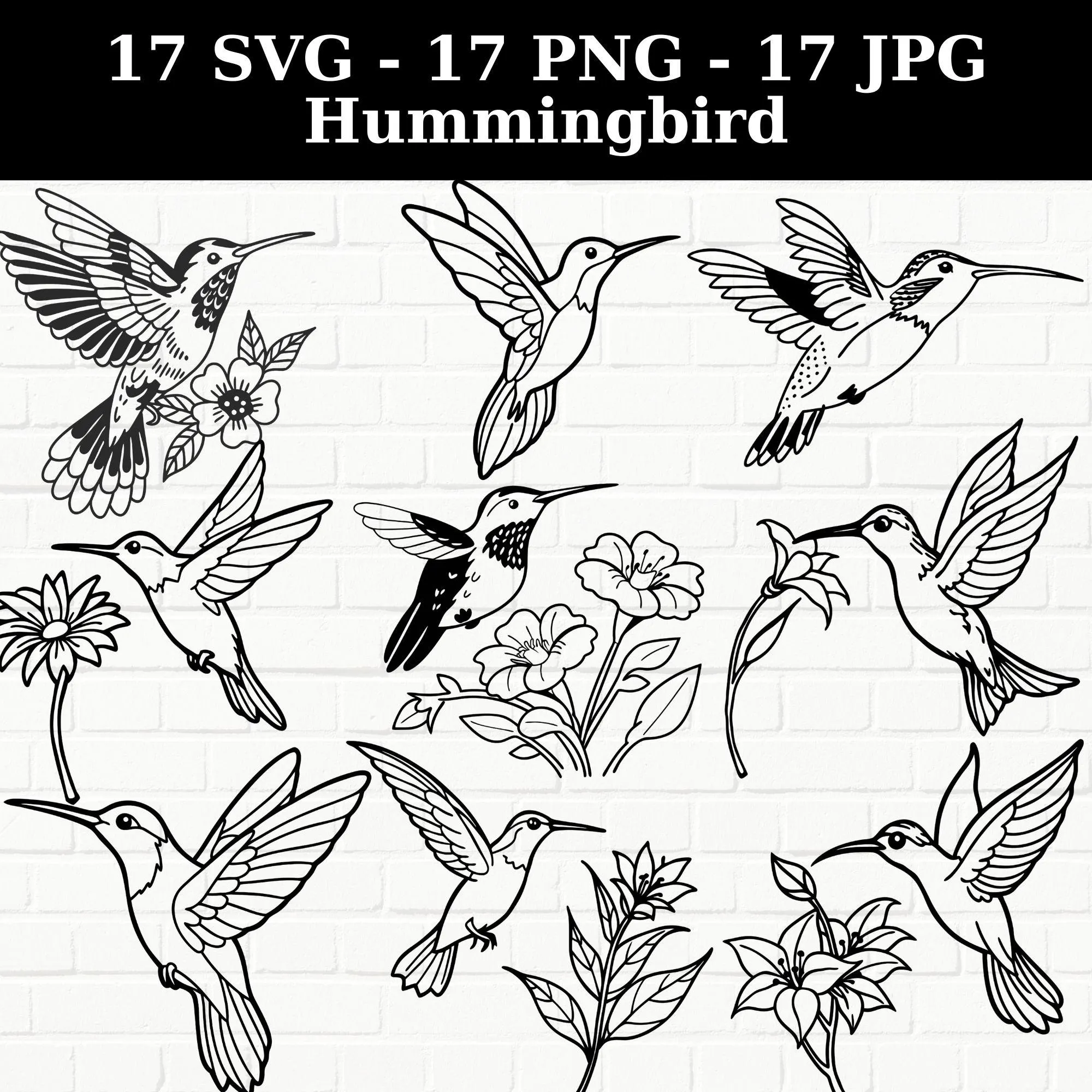 Hummingbird Clipart Bundle: 17 Floral Bird SVG, PNG & JPG Designs