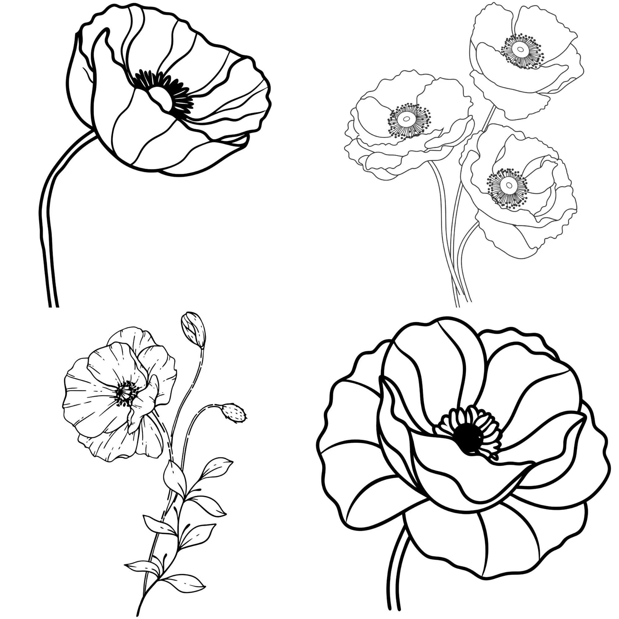 remembrance day, memorial day, line drawing, poppies, poppy, poppy line art, botanical poppy png, hand drawn poppy, poppies design, poppy design, botanical wildflower, poppy clip art, flower arrangements, wedding graphic, plants and flowers, wedding design, poppy clipart, poppy cut files, bouquet svg, poppy flower png, botanical svg, poppy svg bundle, wildflower svg, poppy cricut, floral svg, flower cricut, flower cut file, flower svg, flower clipart, poppy flower svg, poppies svg