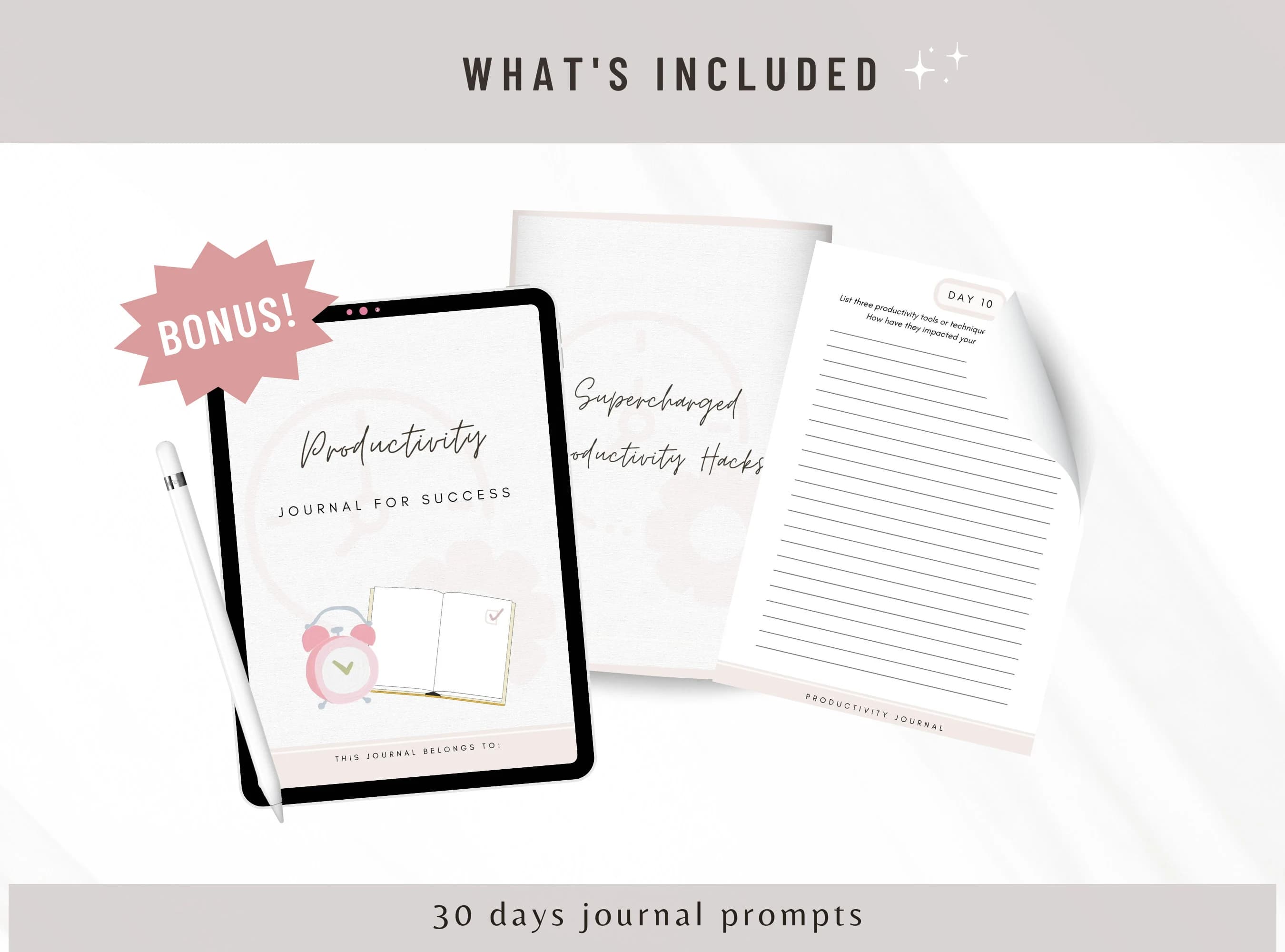 Brandable Coaching Program