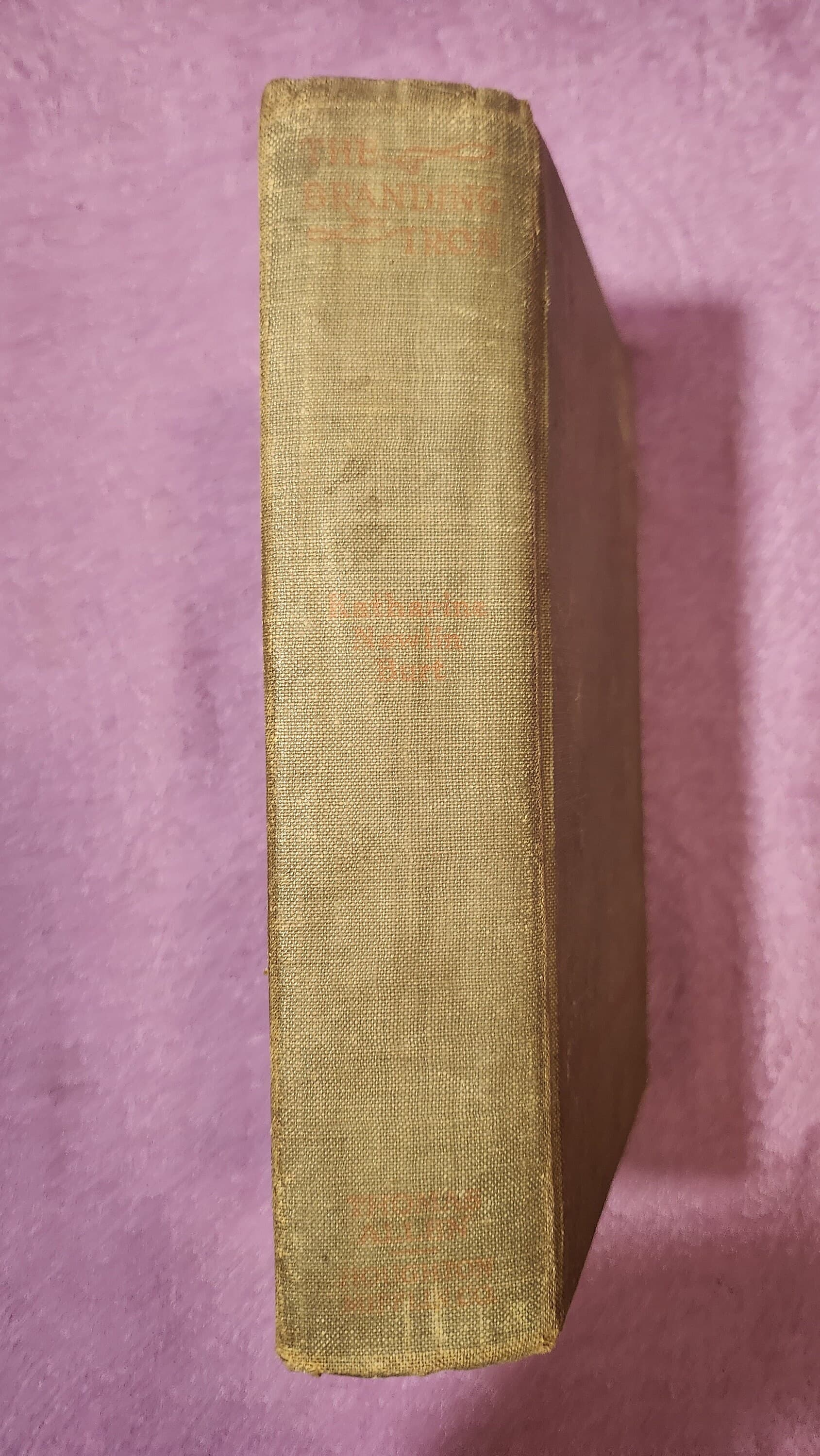 The Branding Iron, by Katharine Newlin Burt, First Edition, Hardcover Book, 1919 - image 3
