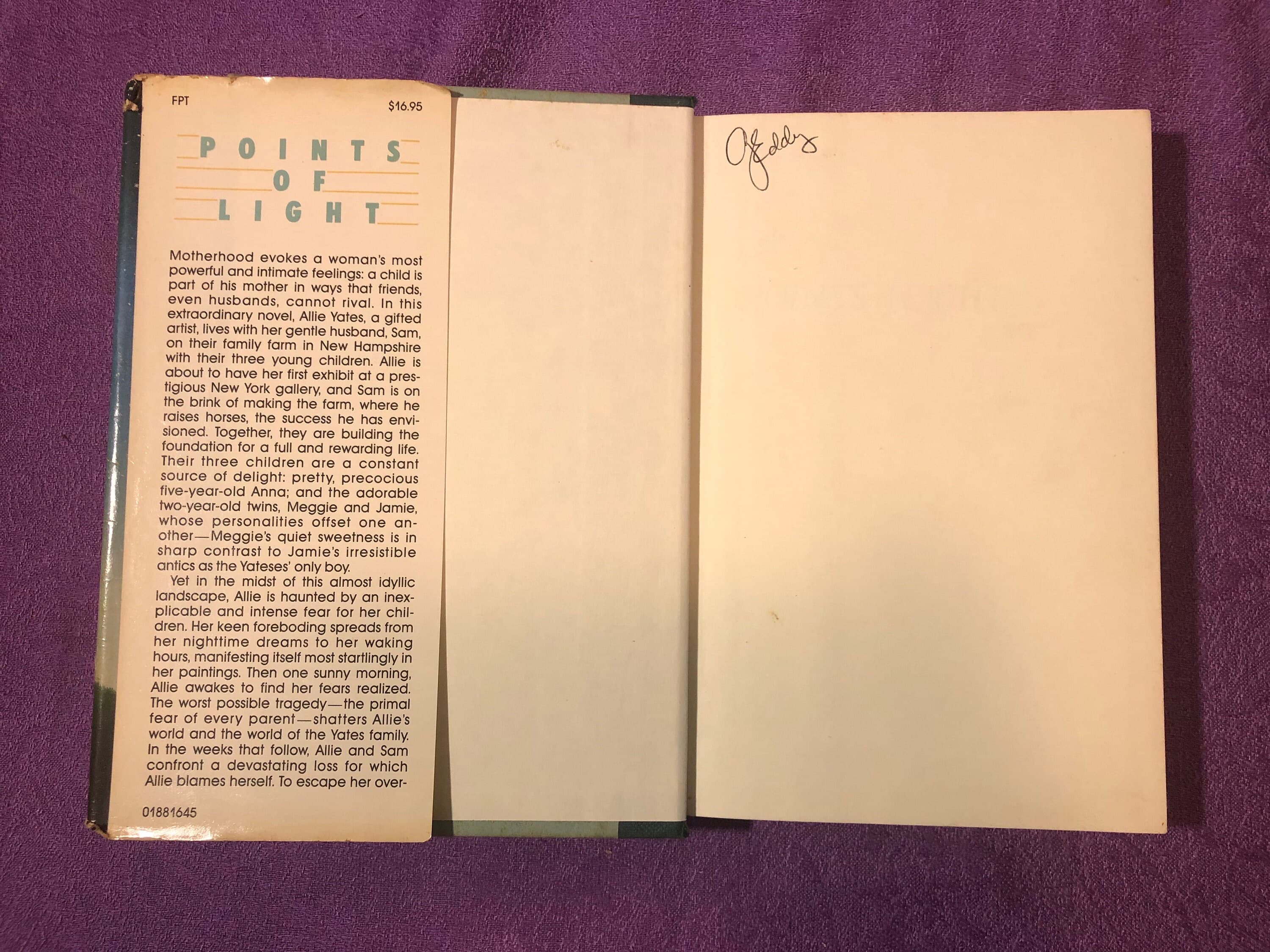 Points of Light, by Linda Gray Sexton, First Edition, Hardcover Book, 1988 - image 5