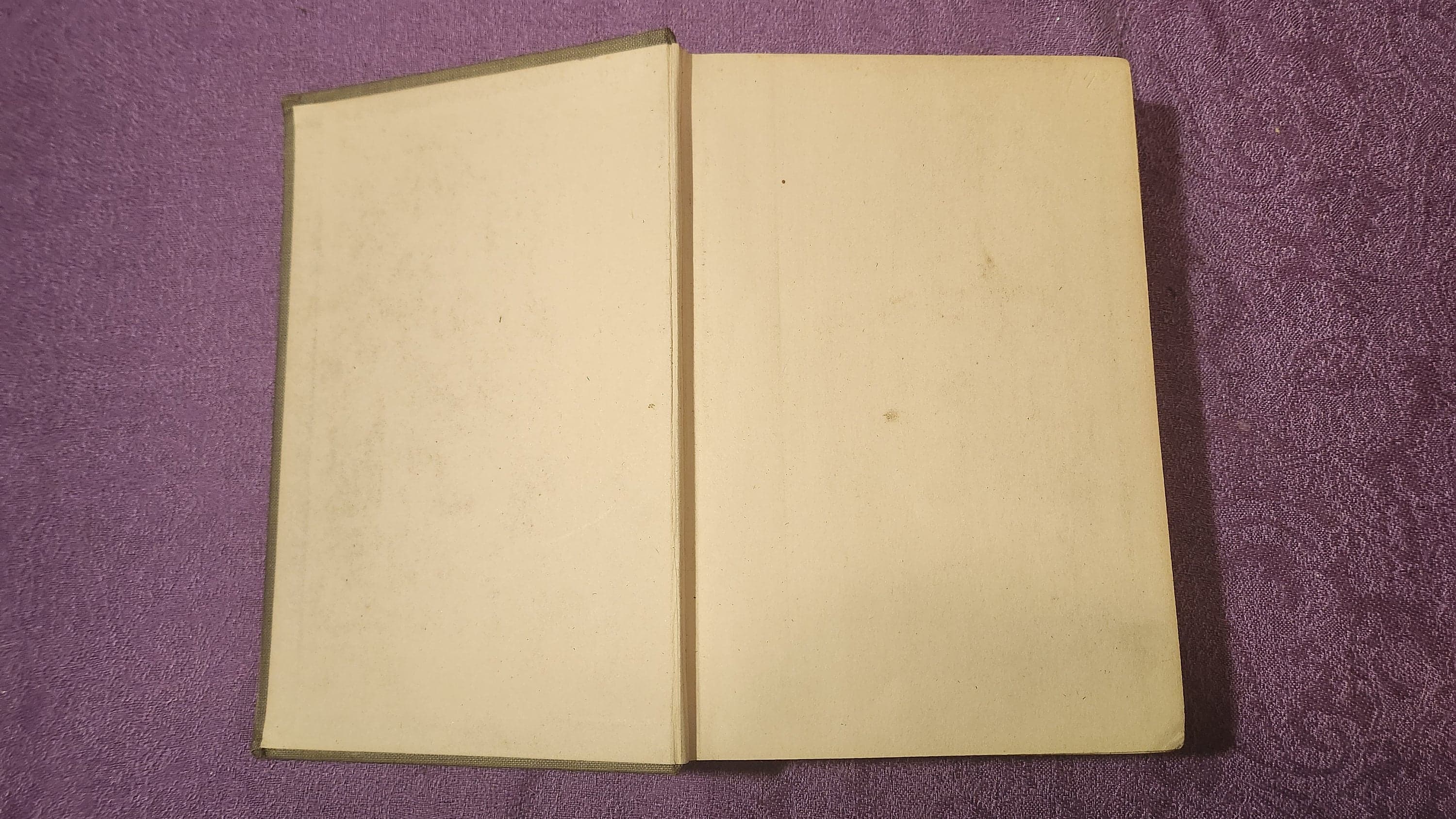 The Branding Iron, by Katharine Newlin Burt, First Edition, Hardcover Book, 1919 - image 5