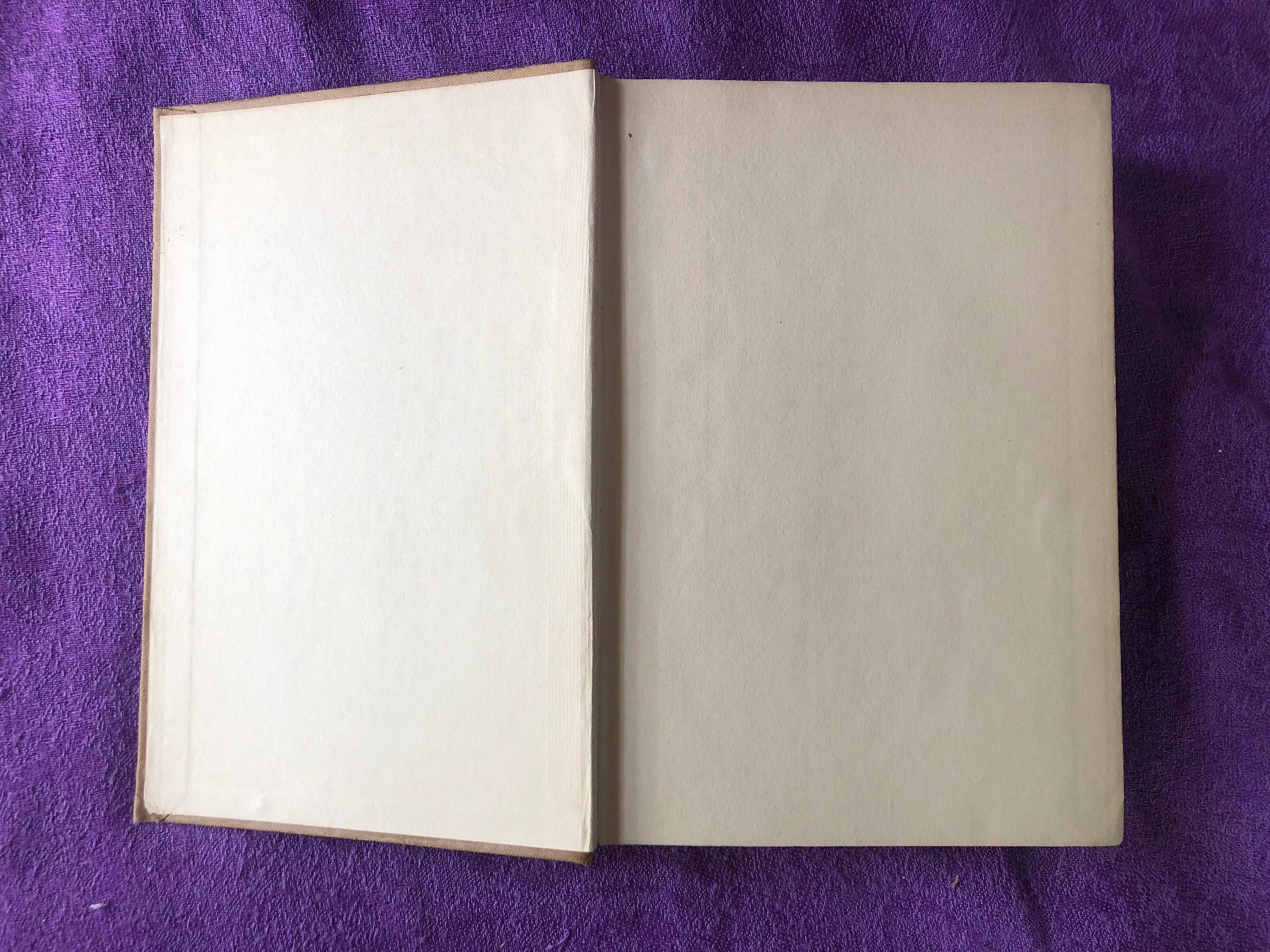 The Reckoning, by Robert W. Chambers, Hardcover Book, 1905 - image 5