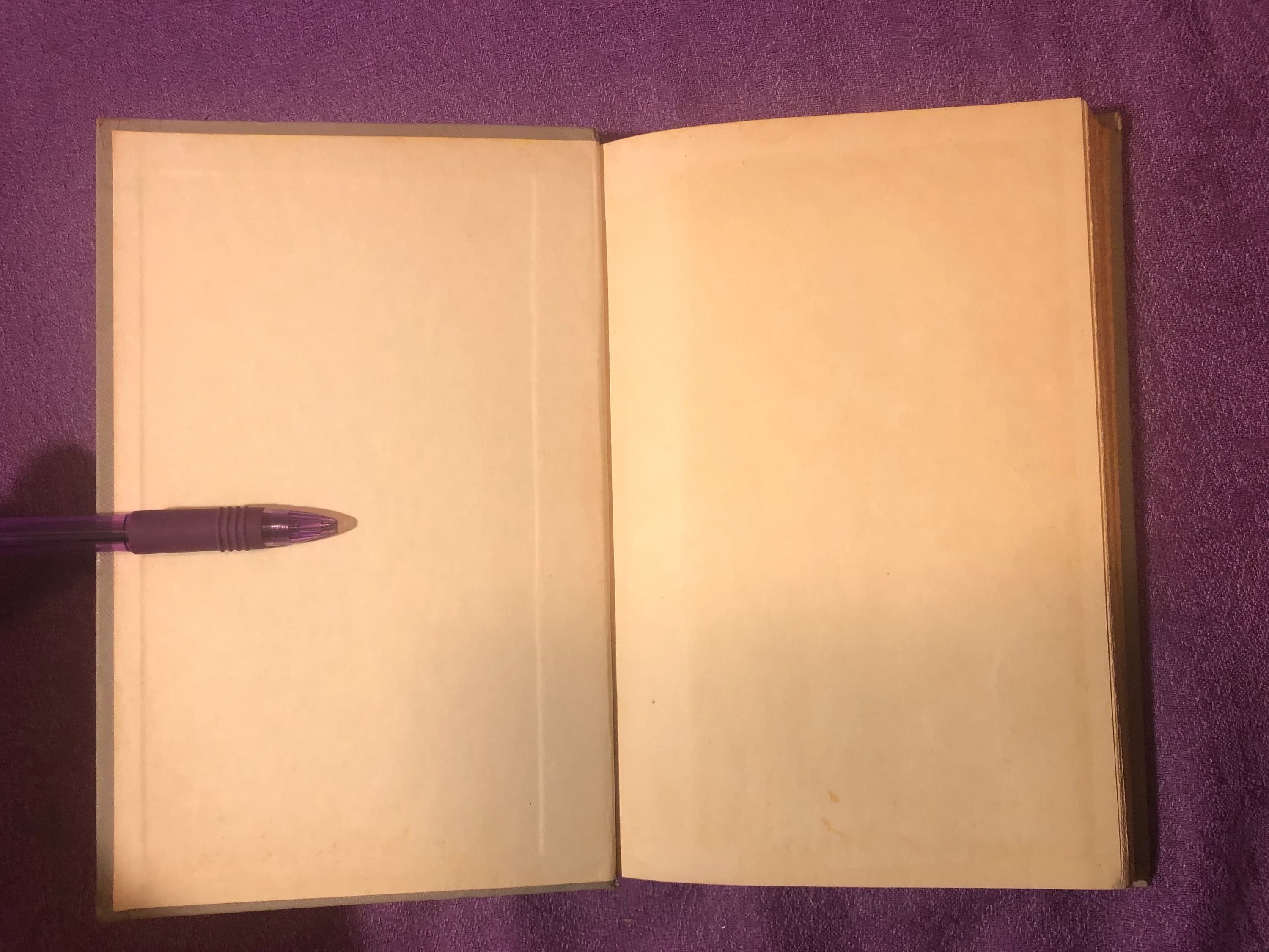 The Golden Journey, by Agnes Sligh Turnbull, First Edition, Hardcover Book, 1955 - image 5