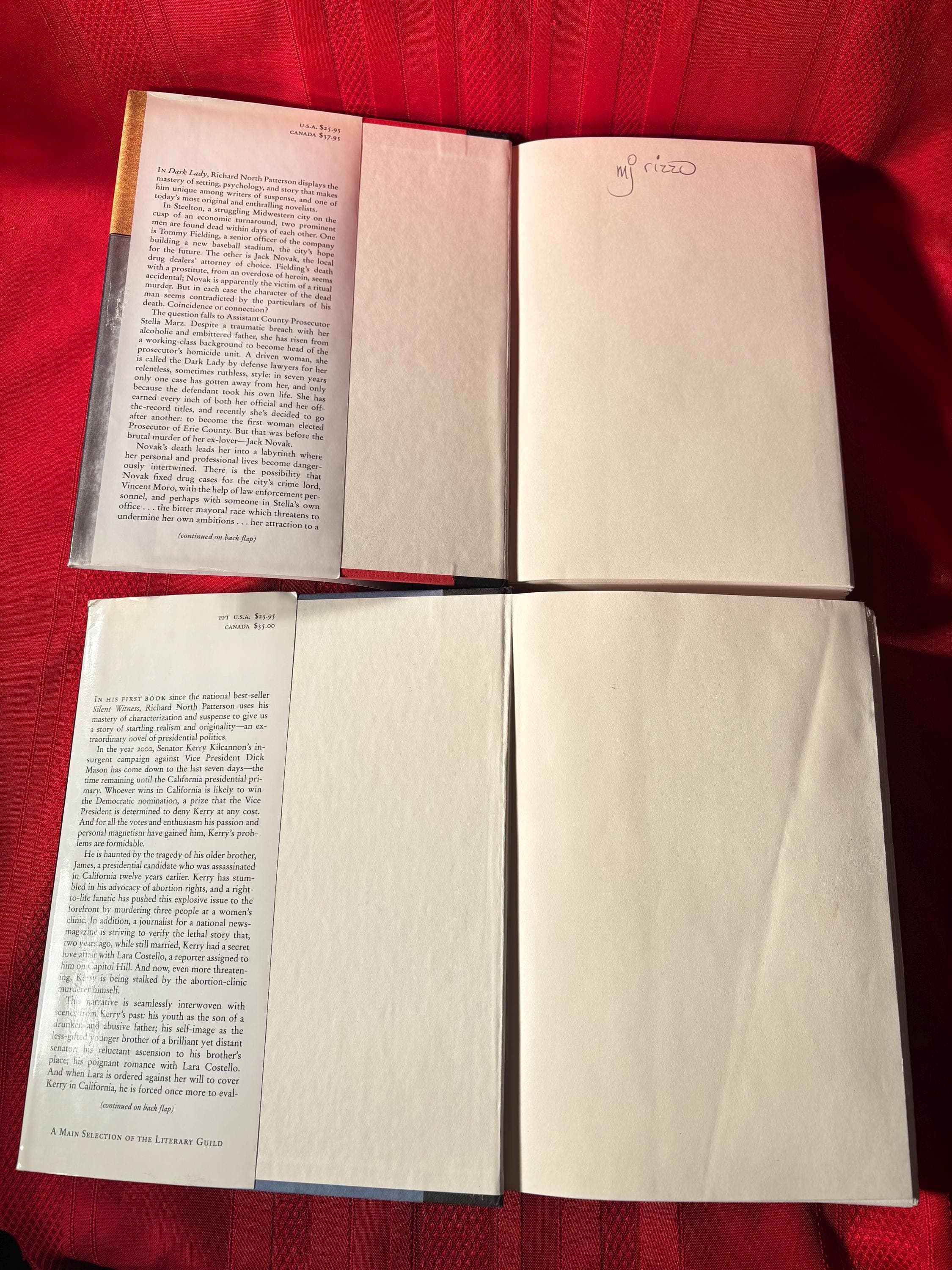 Richard North Patterson Book Bundle, Protect and Defend, The Final Judgment, Dark Lady, No Safe Place, Hardcover Books, 1990s - image 5