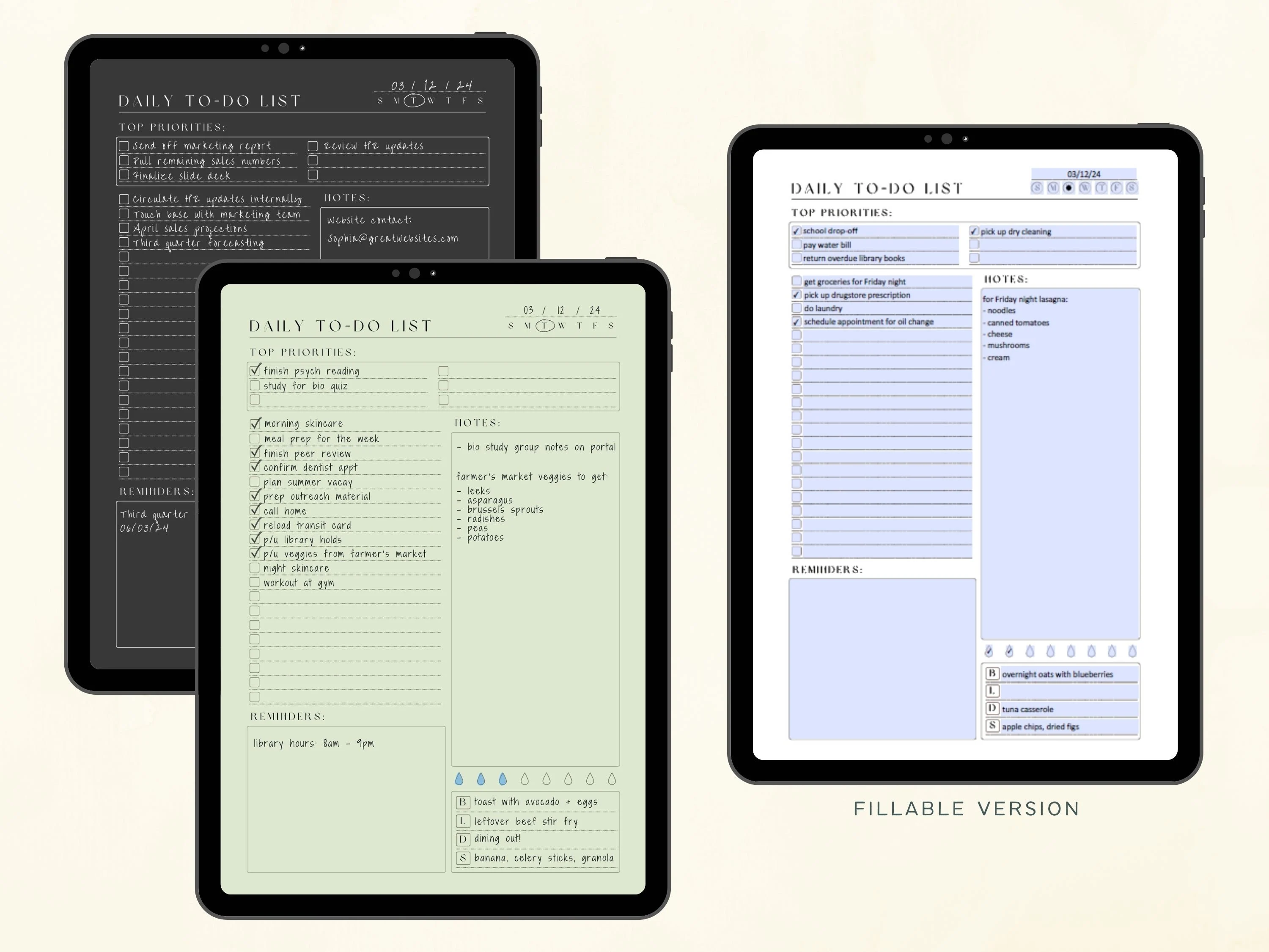 Displays 3 examples of the daily to do list in use on an iPad. Colours shown for the digital to-do list are charcoal and sage, and the fillable PDF version is white. Daily task planner in use.