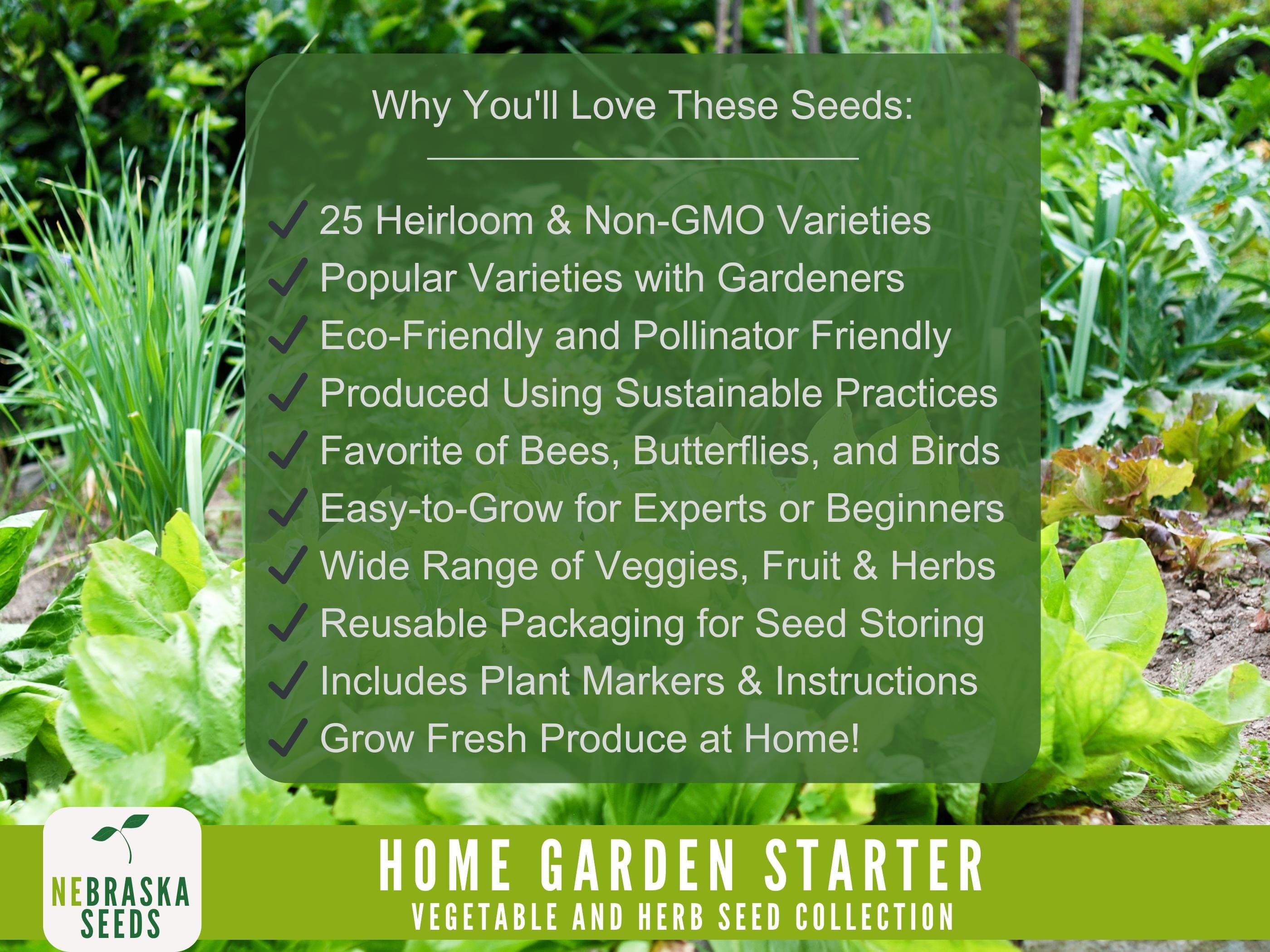 All-in-one garden kit with labeled seed packets for herbs, lettuces and vegetables