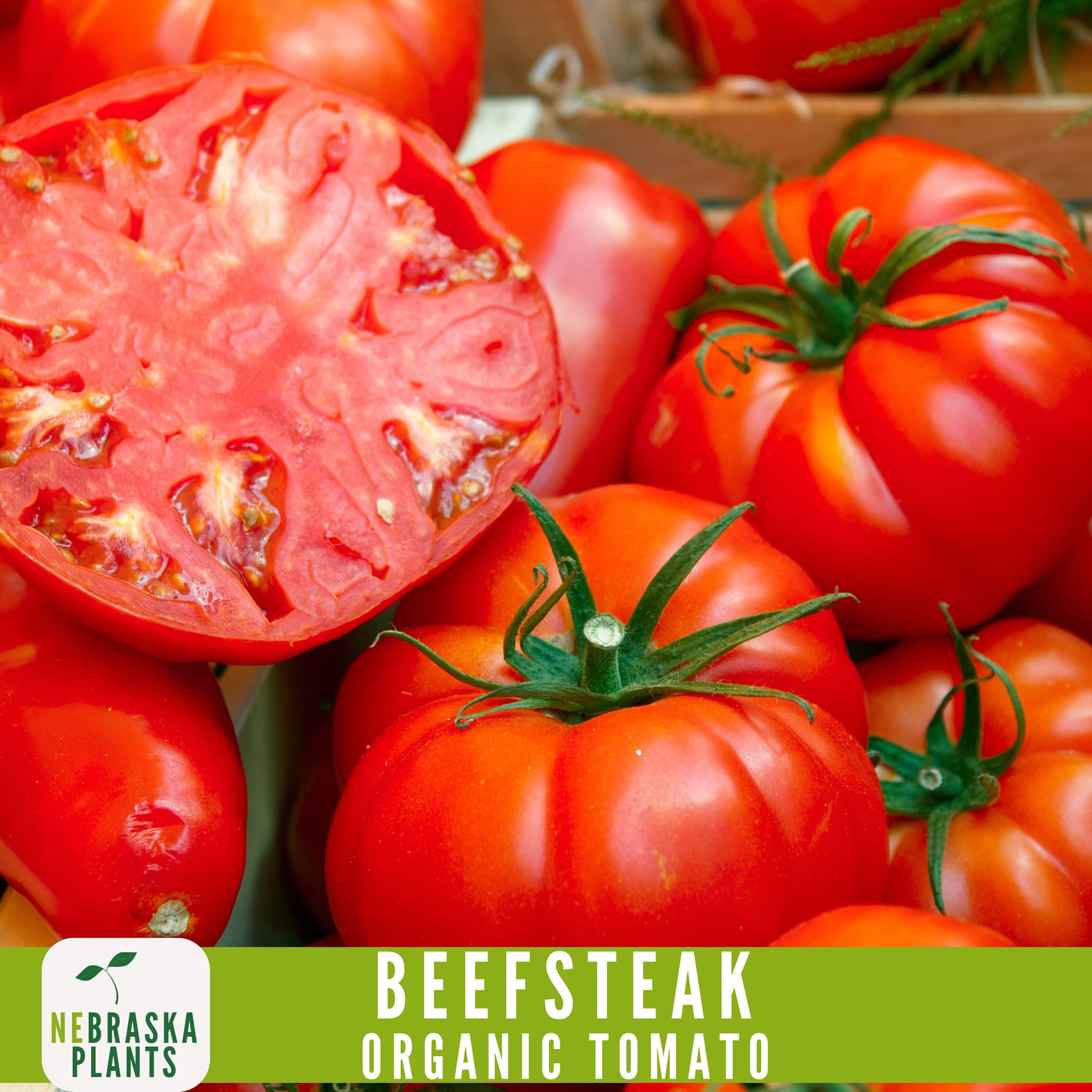 Organic Beefsteak Tomato Seeds - Juicy Heirloom Giants for Home Gardens! - image 4