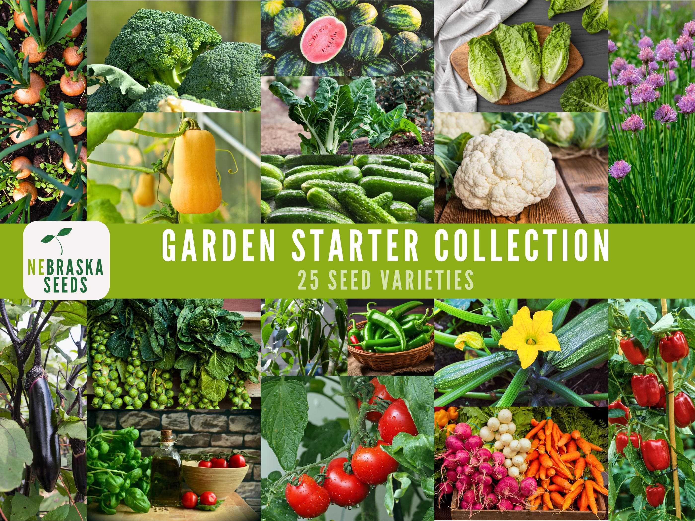 Garden Starter Seed Collection - Heirloom and Non-GMO Vegetable, Fruit and Herb Seeds for the Perfect Home Garden!