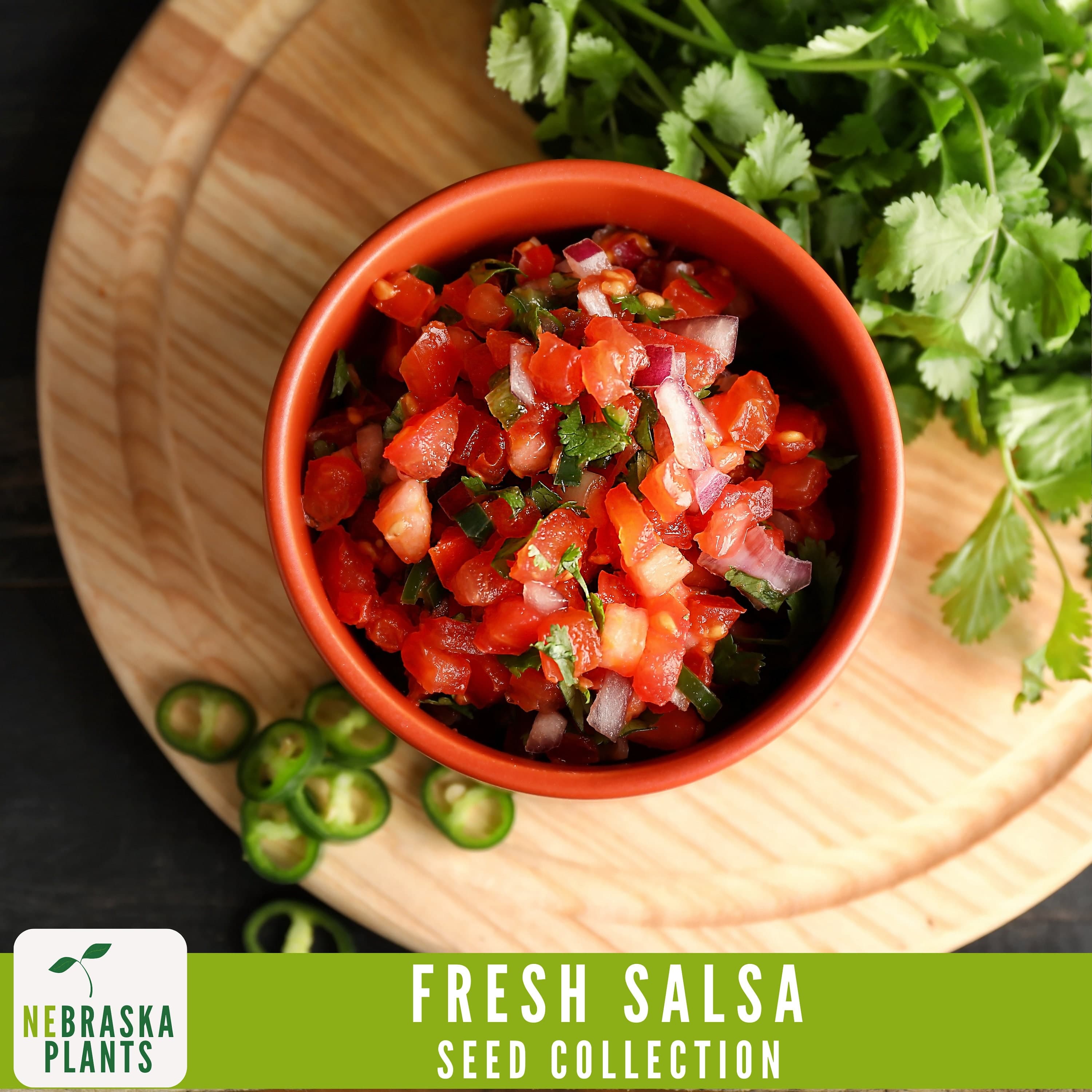 Garden Salsa Seed Collection - Heirloom Roma Tomato Seeds - Heirloom Jalapeno Seeds - Heirloom Onion Seeds - Heirloom Cilantro Seeds