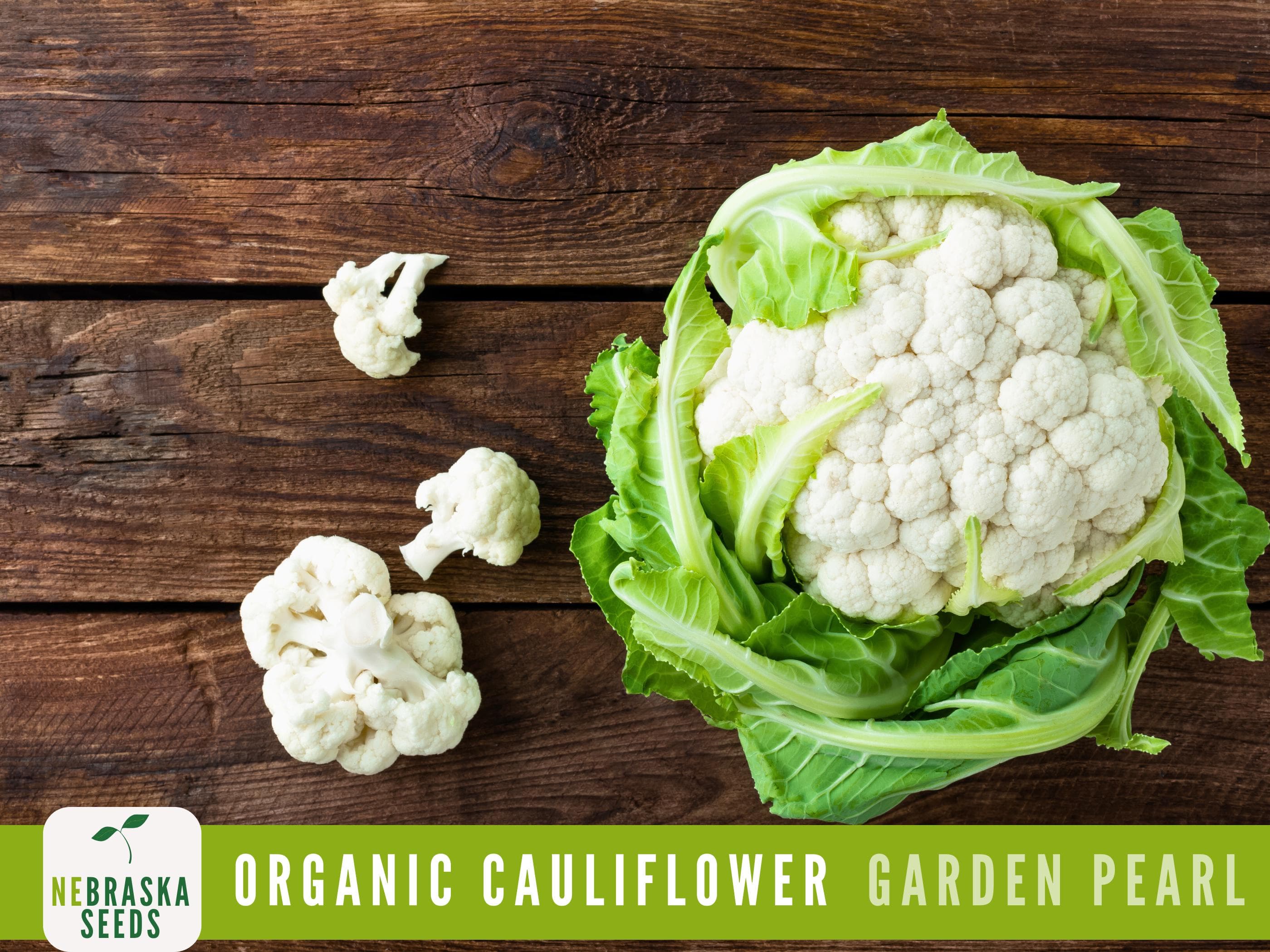 Organic Cauliflower Seeds - Garden Pearl : Heirloom, Non-GMO and Easy-to-Grow Backyard Beauties! - image 5