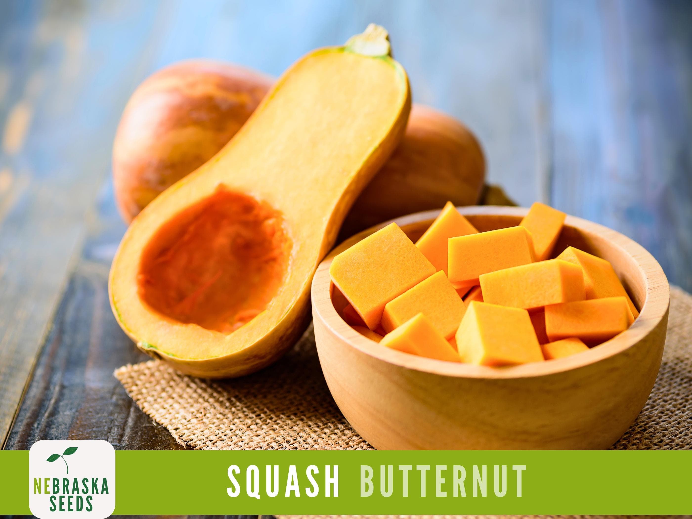 Winter Squash Seeds - Waltham Butternut Heirloom Squash Seeds - image 3